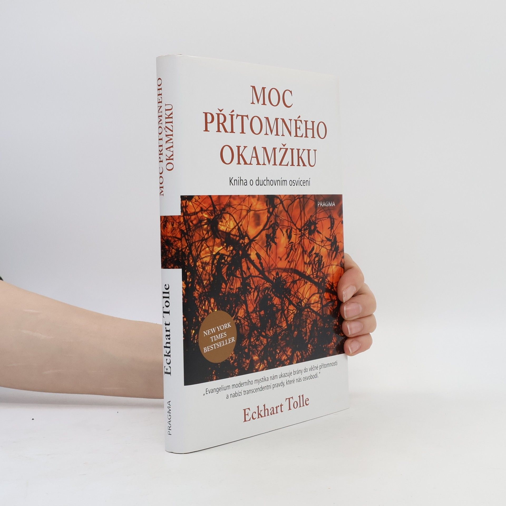 Eckhart Tolle Moc přítomného okamžiku
