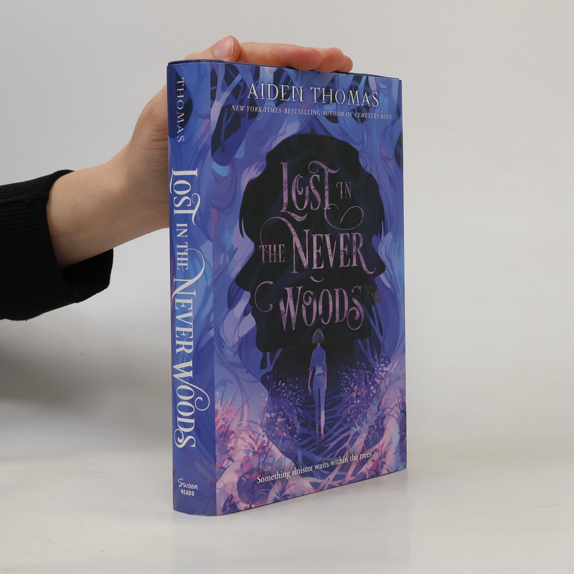 Aiden Thomas Lost in the Never Woods