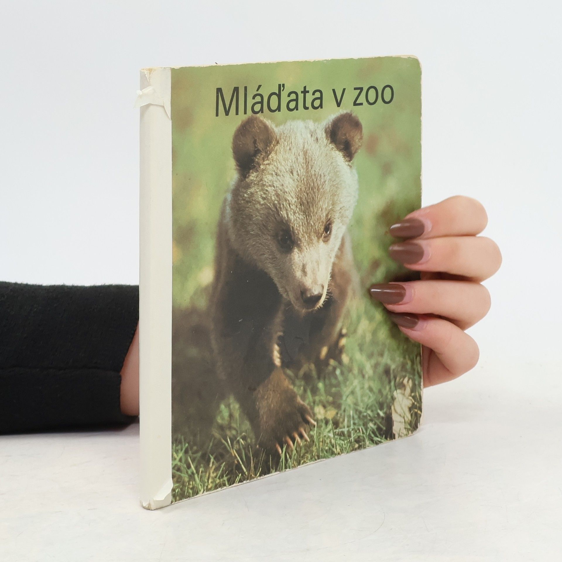 AA.VV. Mláďata v zoo