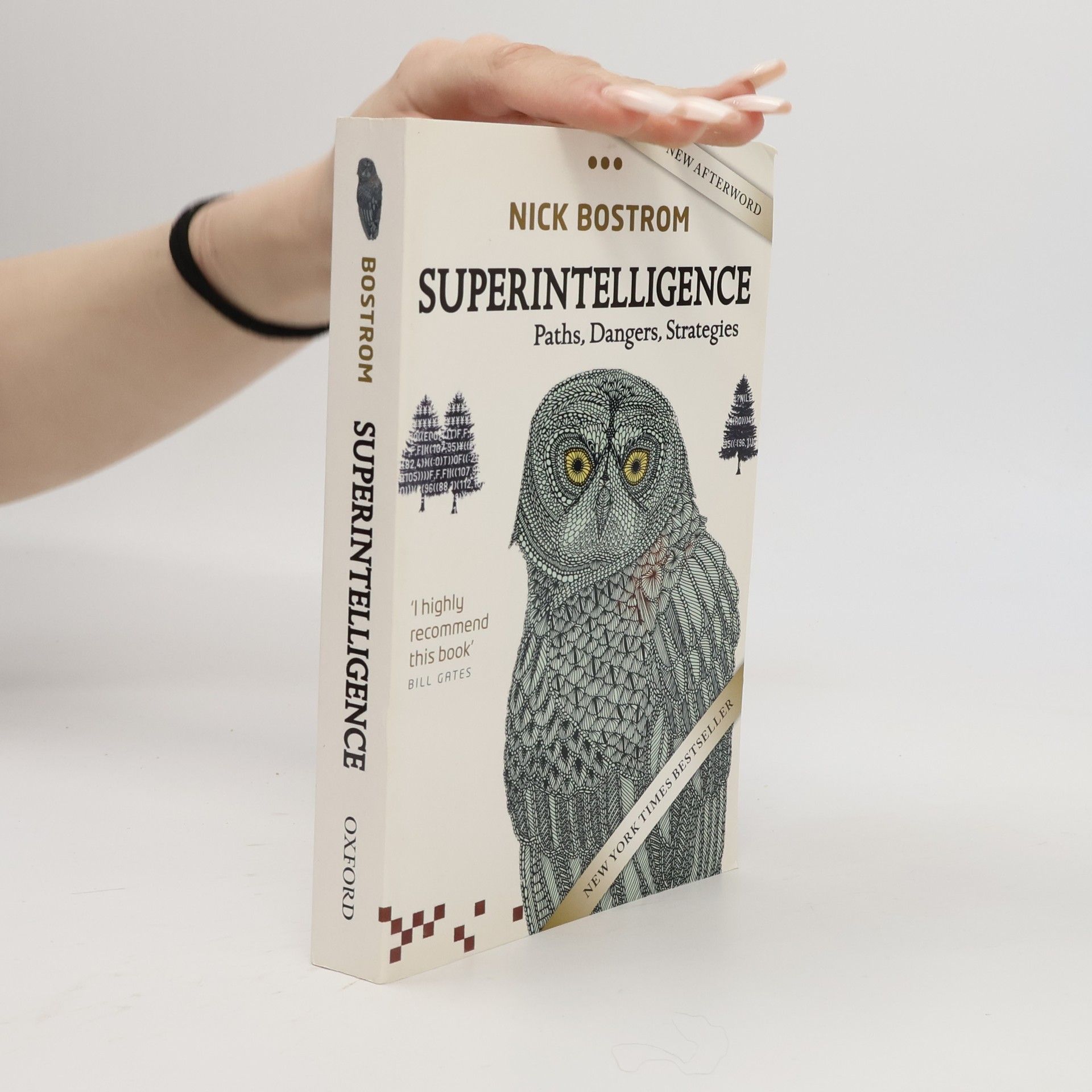 Nick Bostrom Superintelligence