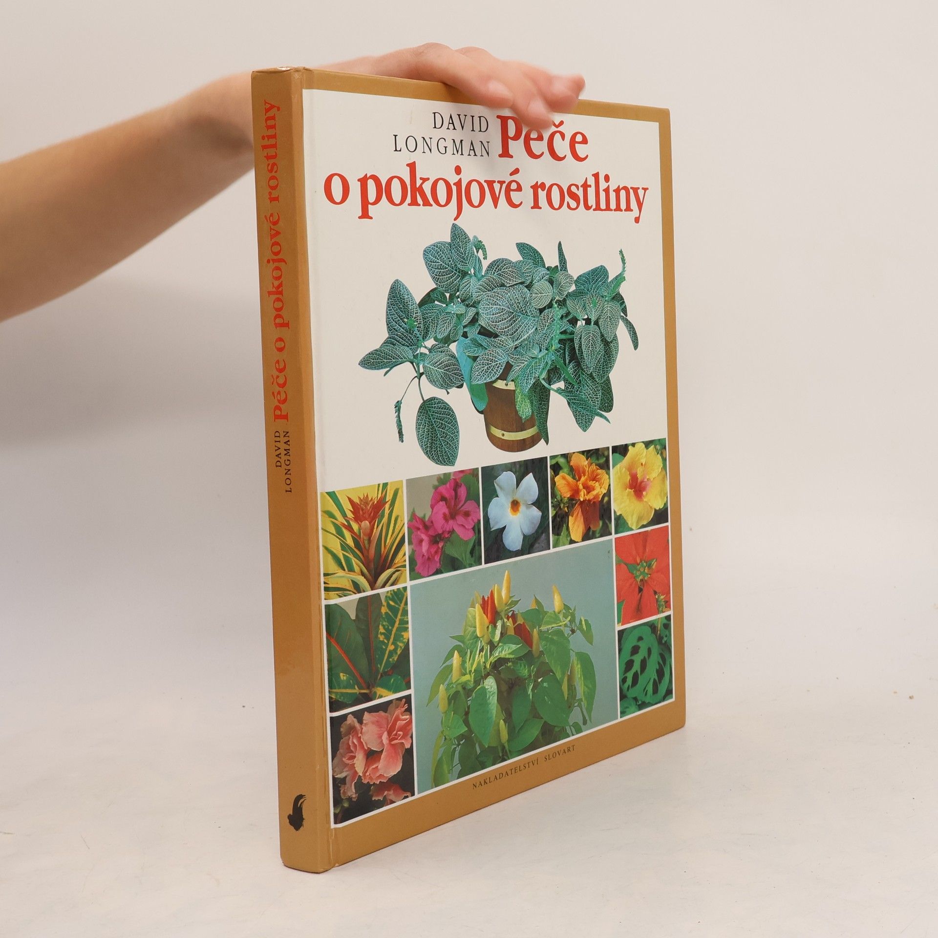 David Longman Péče o pokojové rostliny