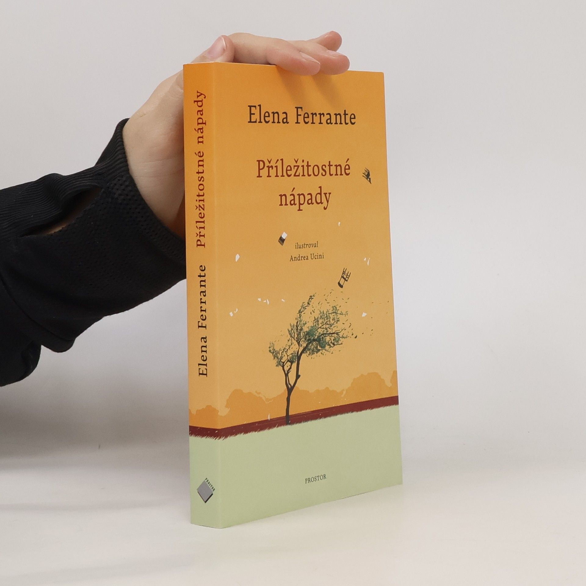 Elena Ferrante Příležitostné nápady