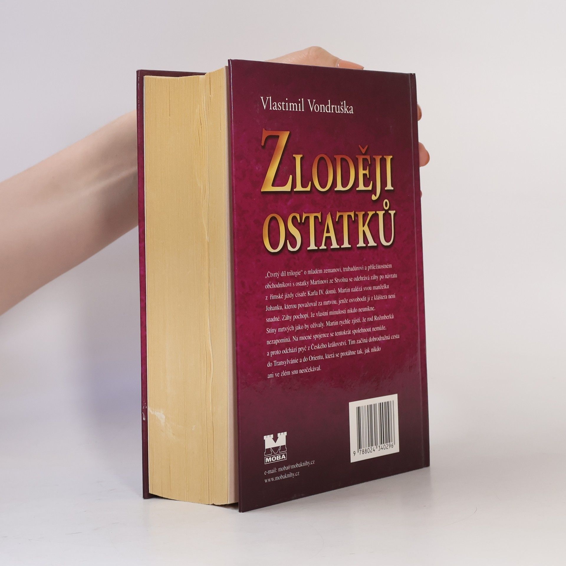 Vlastimil Vondruška Zloději ostatků