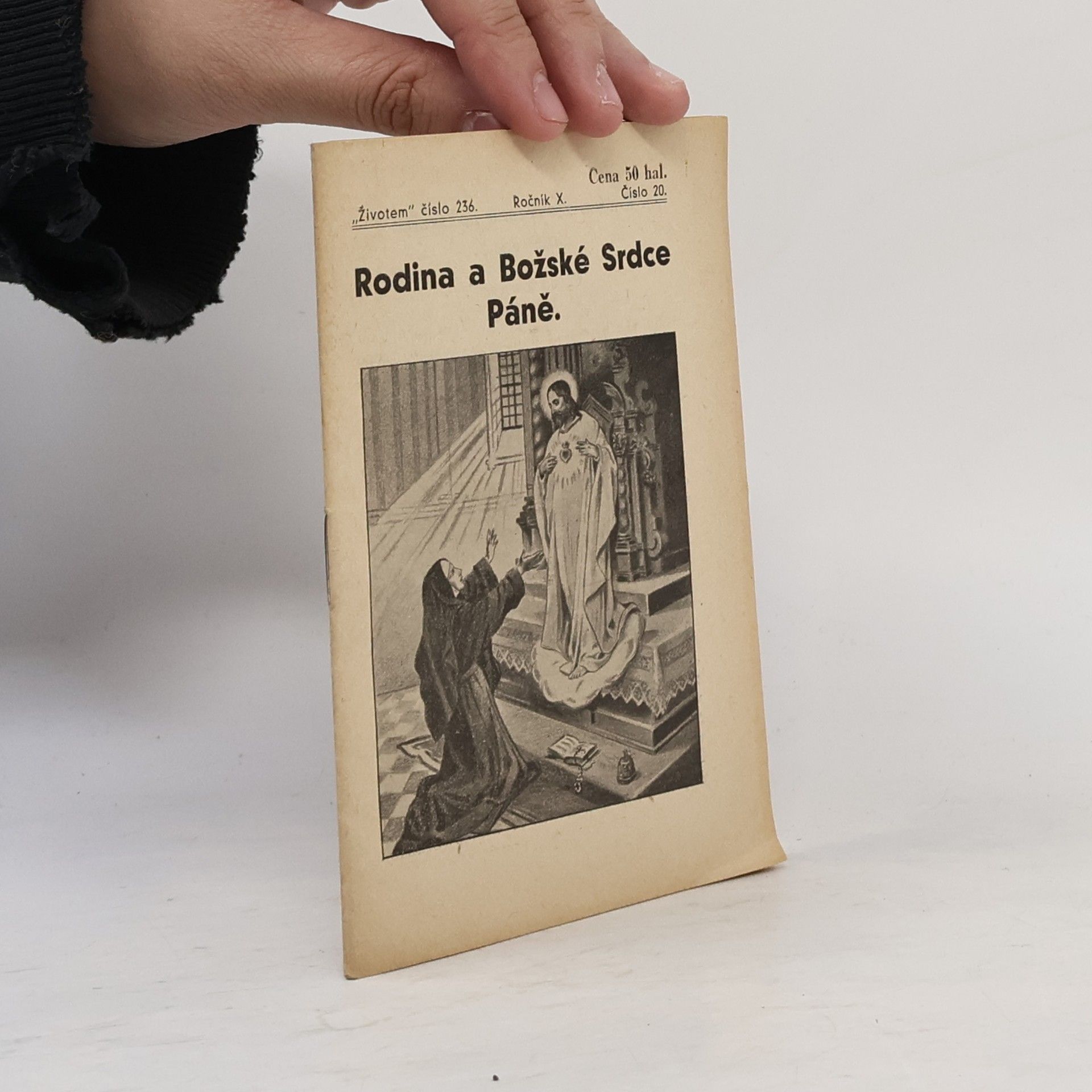 Autorenkollektiv Rodina a Božské Srdce Páně