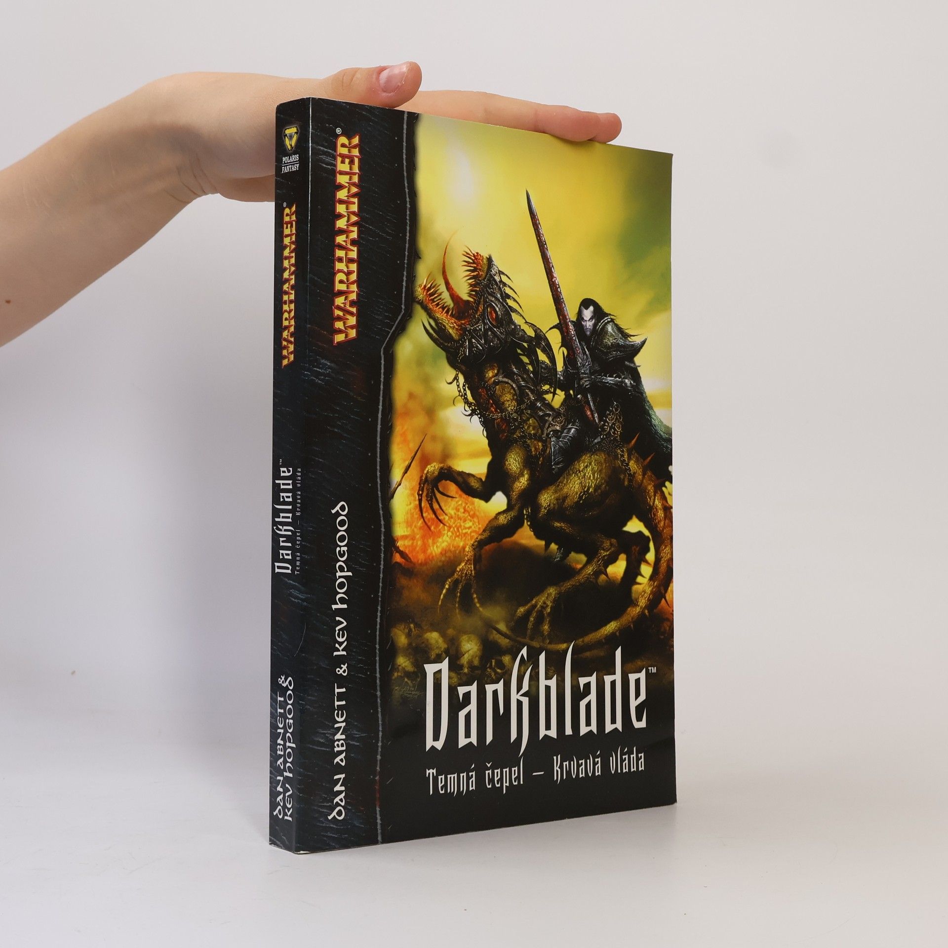 Darkblade. Temná čepel - krvavá vláda