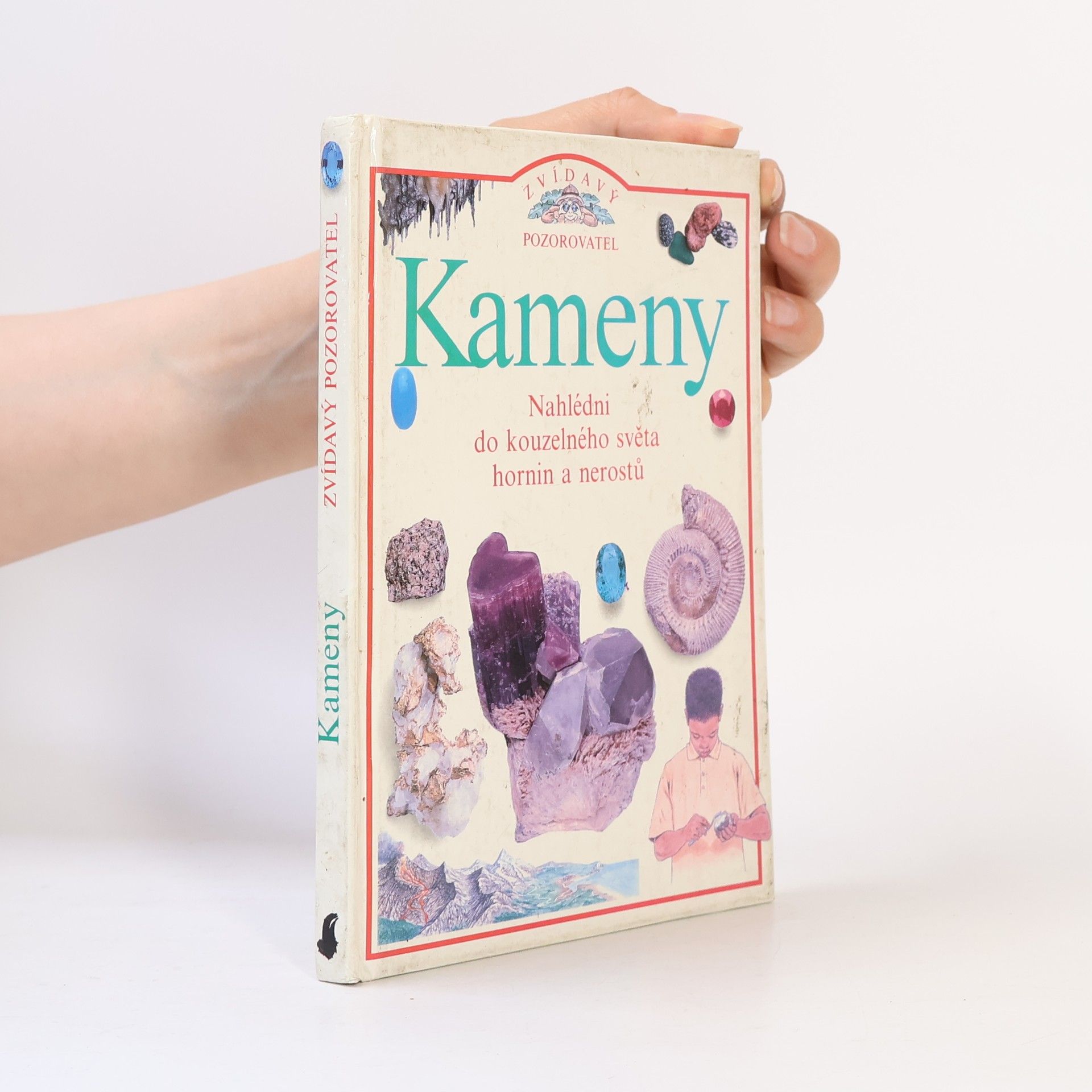 Steve Parker Kameny