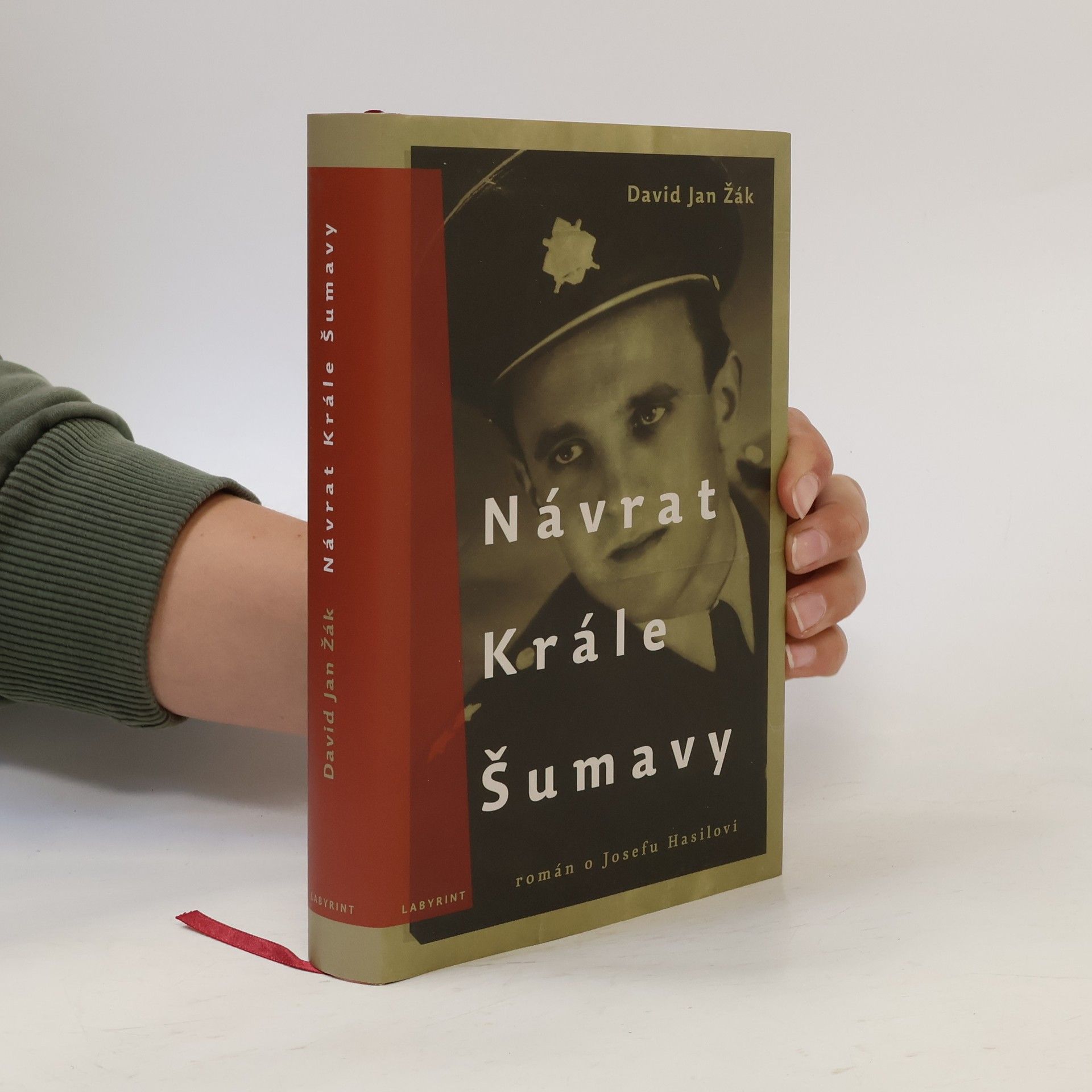David Jan Žák Návrat Krále Šumavy