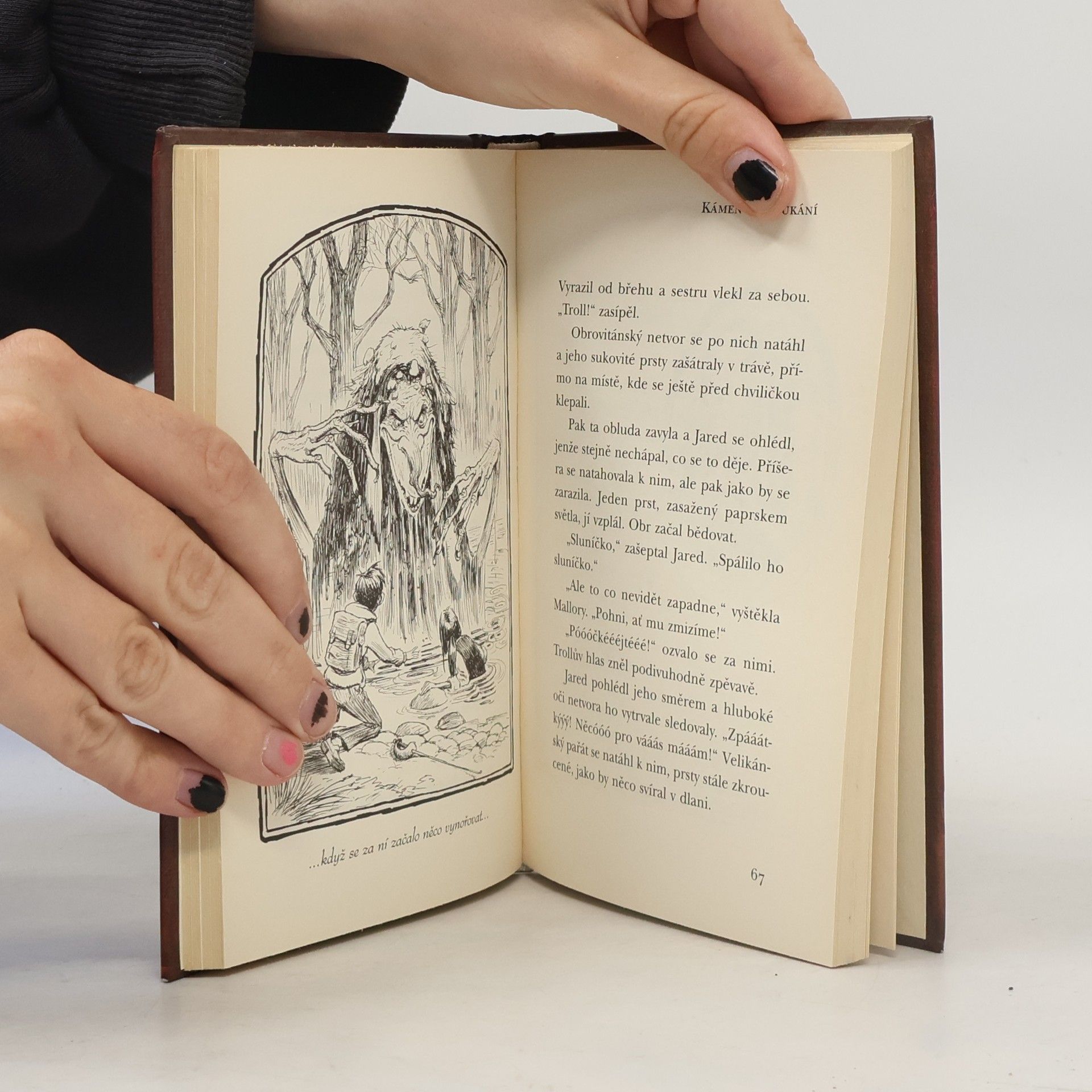 Tony DiTerlizzi Kronika rodu Spiderwicků. Kniha 2., Kámen ke koukání
