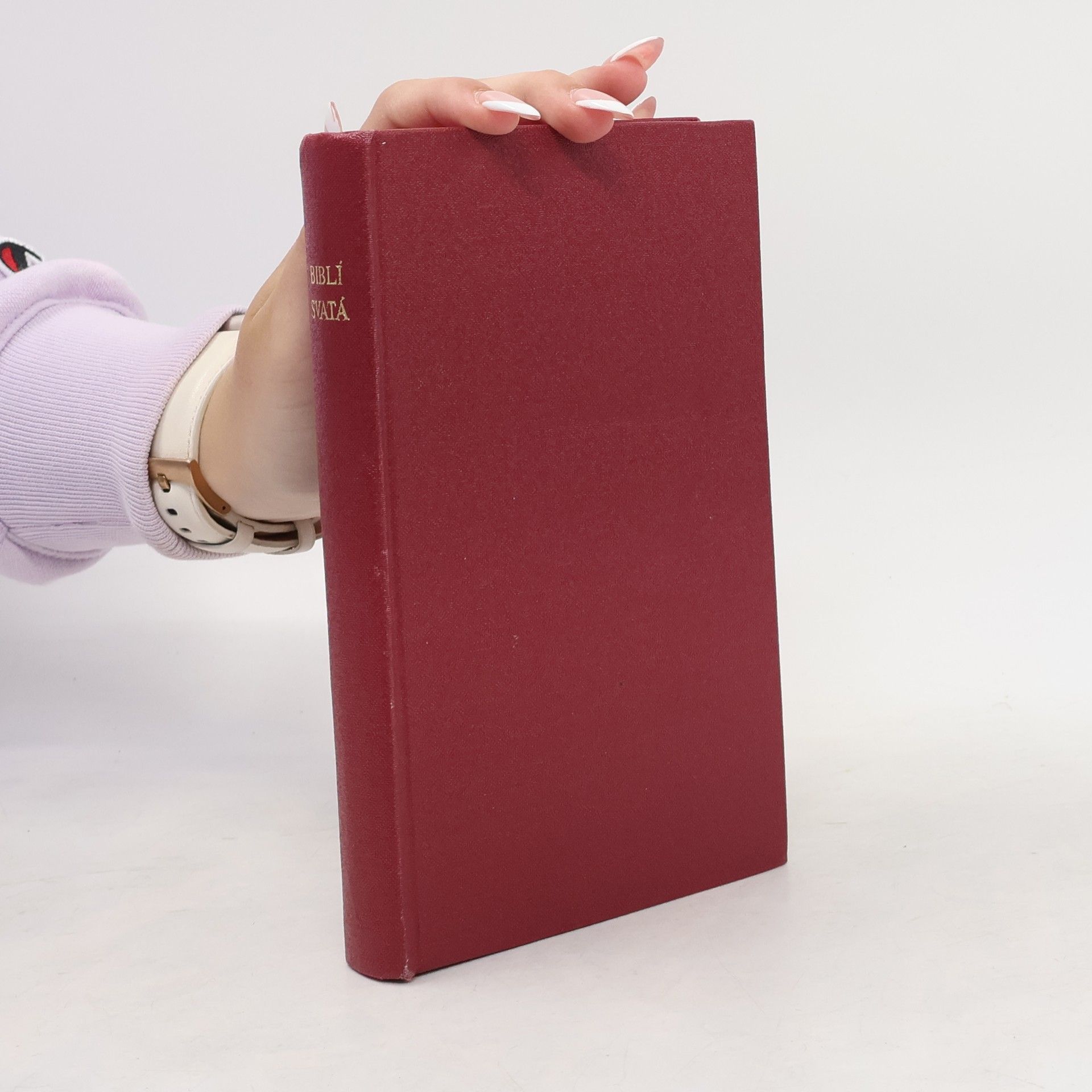 Autorenkollektiv Biblí svatá, aneb, Všecka svatá písma Starého i Nového zákona