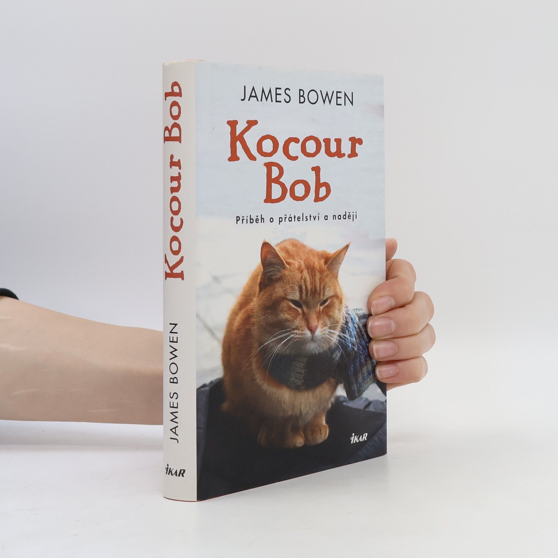 James Bowen Kocour Bob
