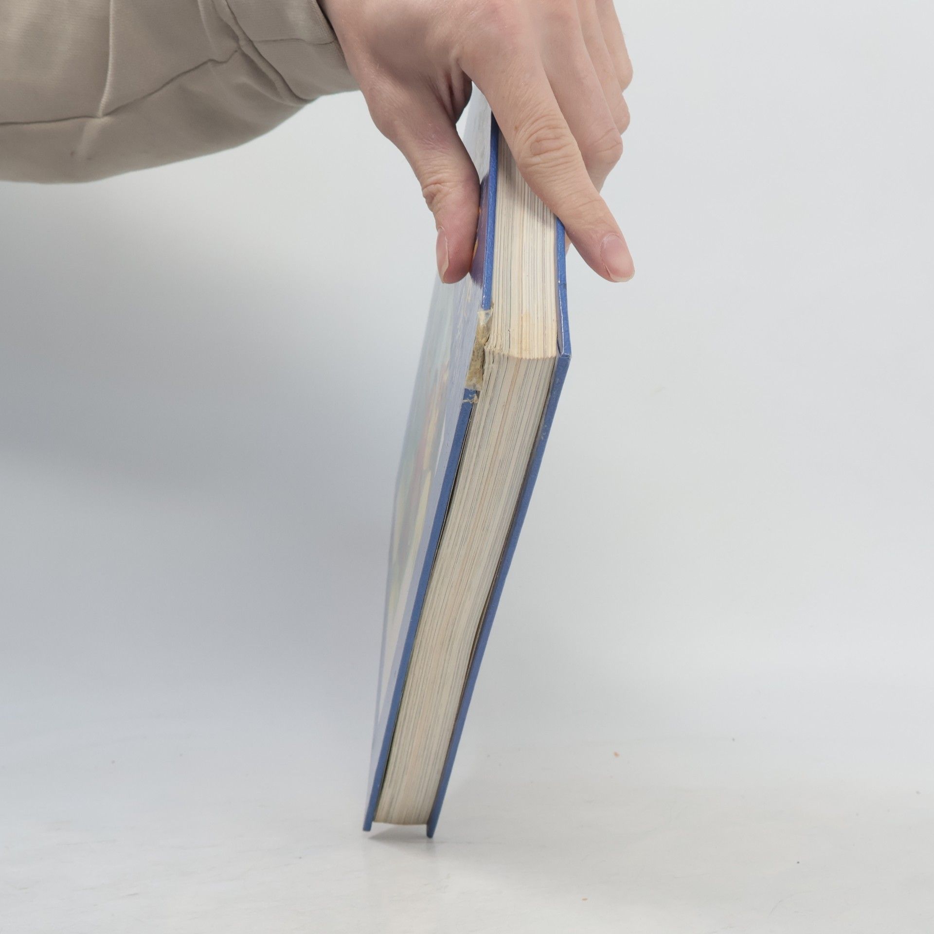 Ray Hughes Bible for children