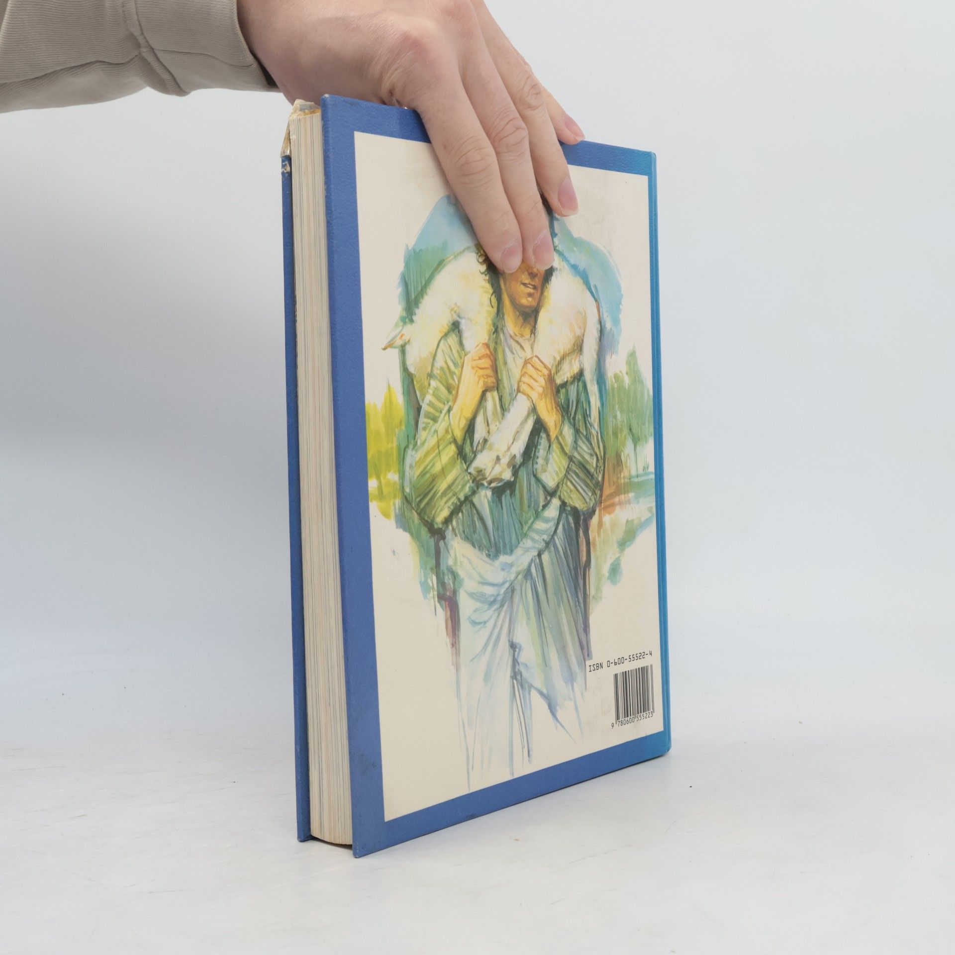 Ray Hughes Bible for children