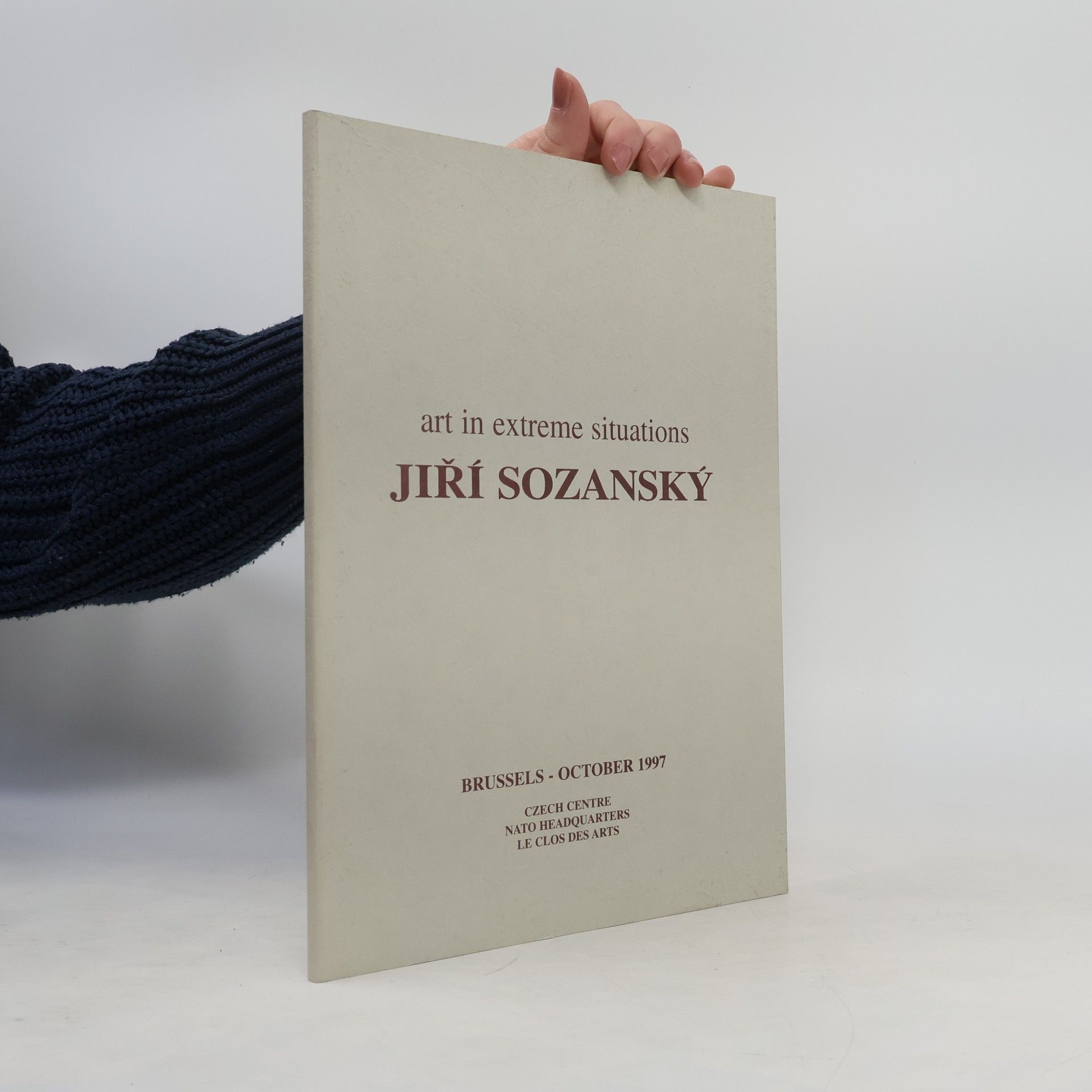 Jiří Sozanský Art in Extreme Situations
