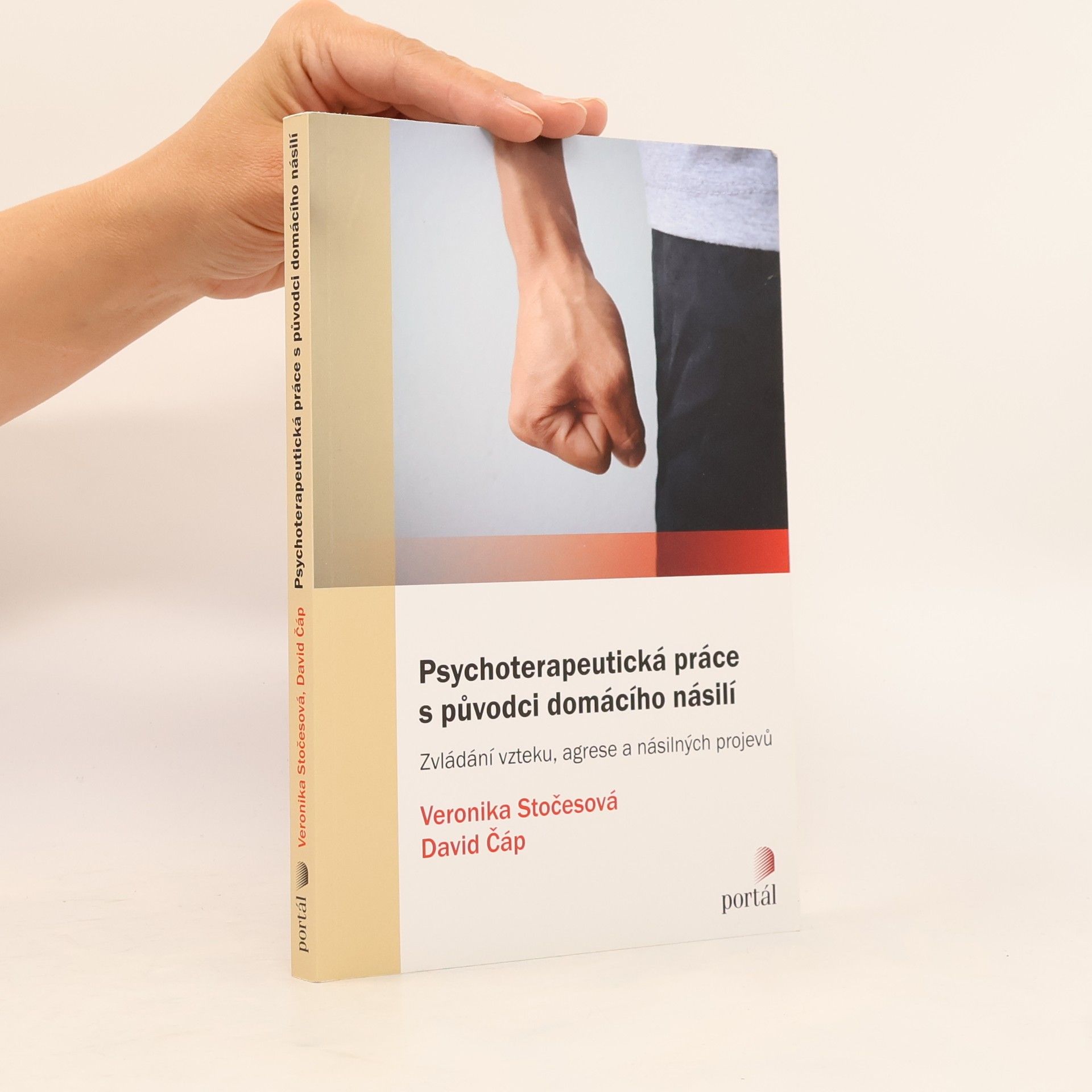 Veronika Stočesová Psychoterapeutická práce s původci domácího násilí