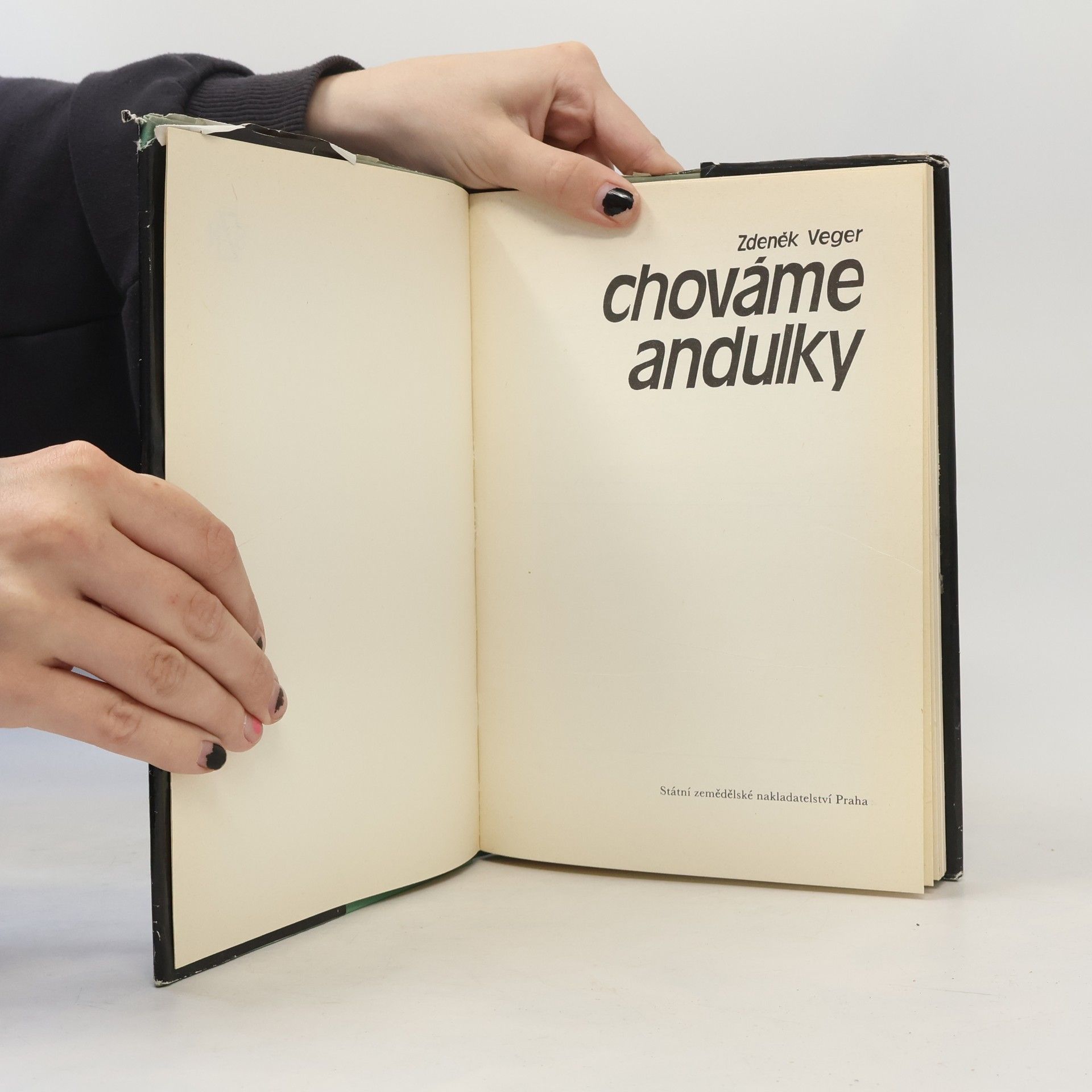 Zdeněk Veger Chováme andulky