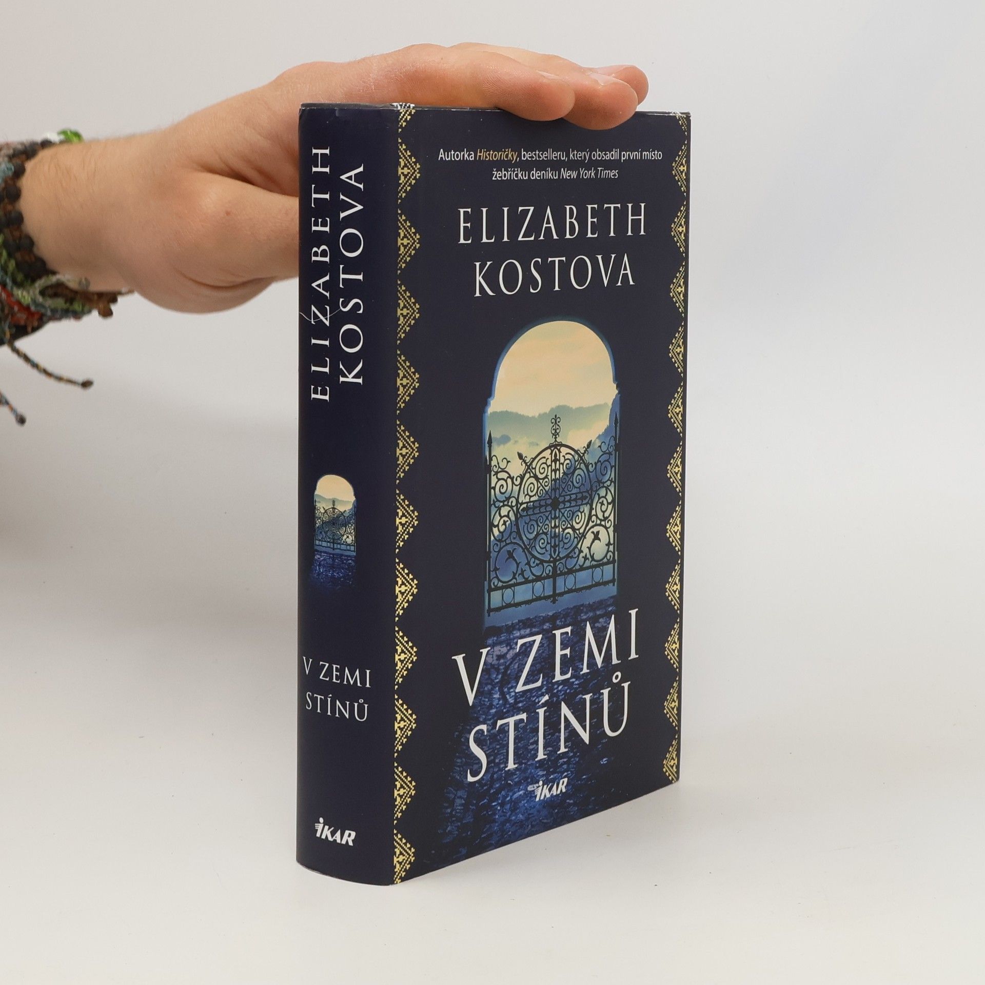 Elizabeth Kostova V zemi stínů