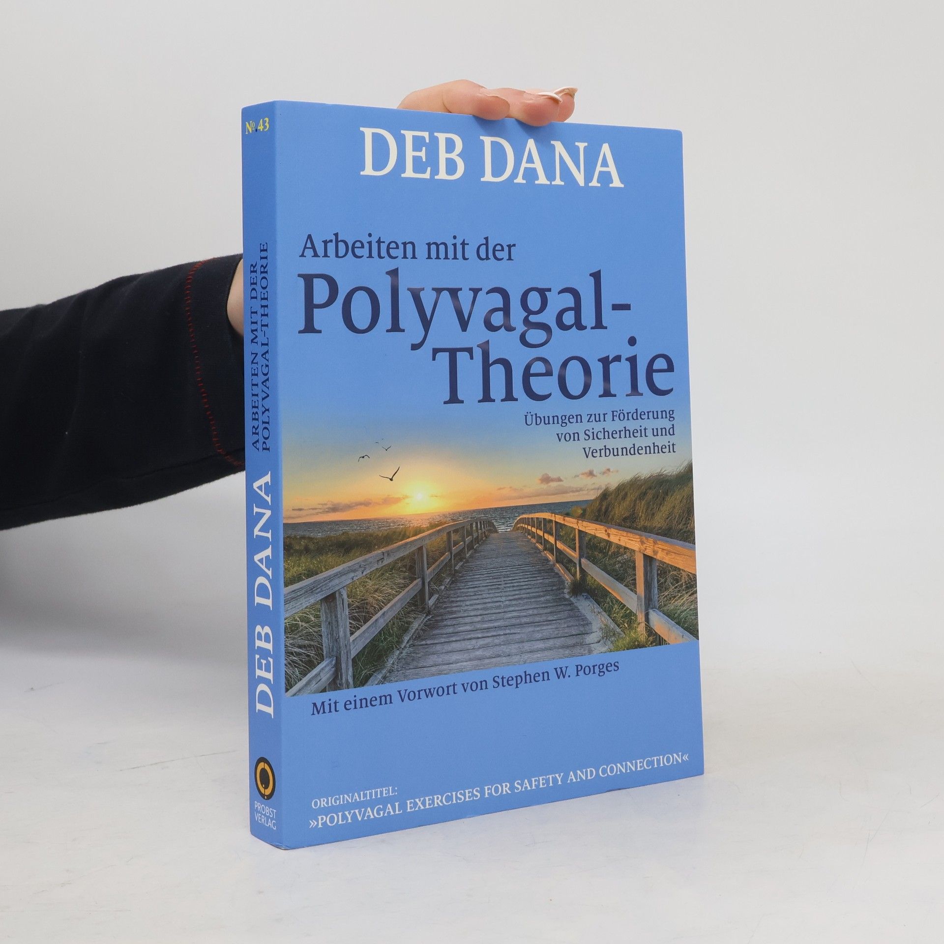 Arbeiten mit der Polyvagal-Theorie