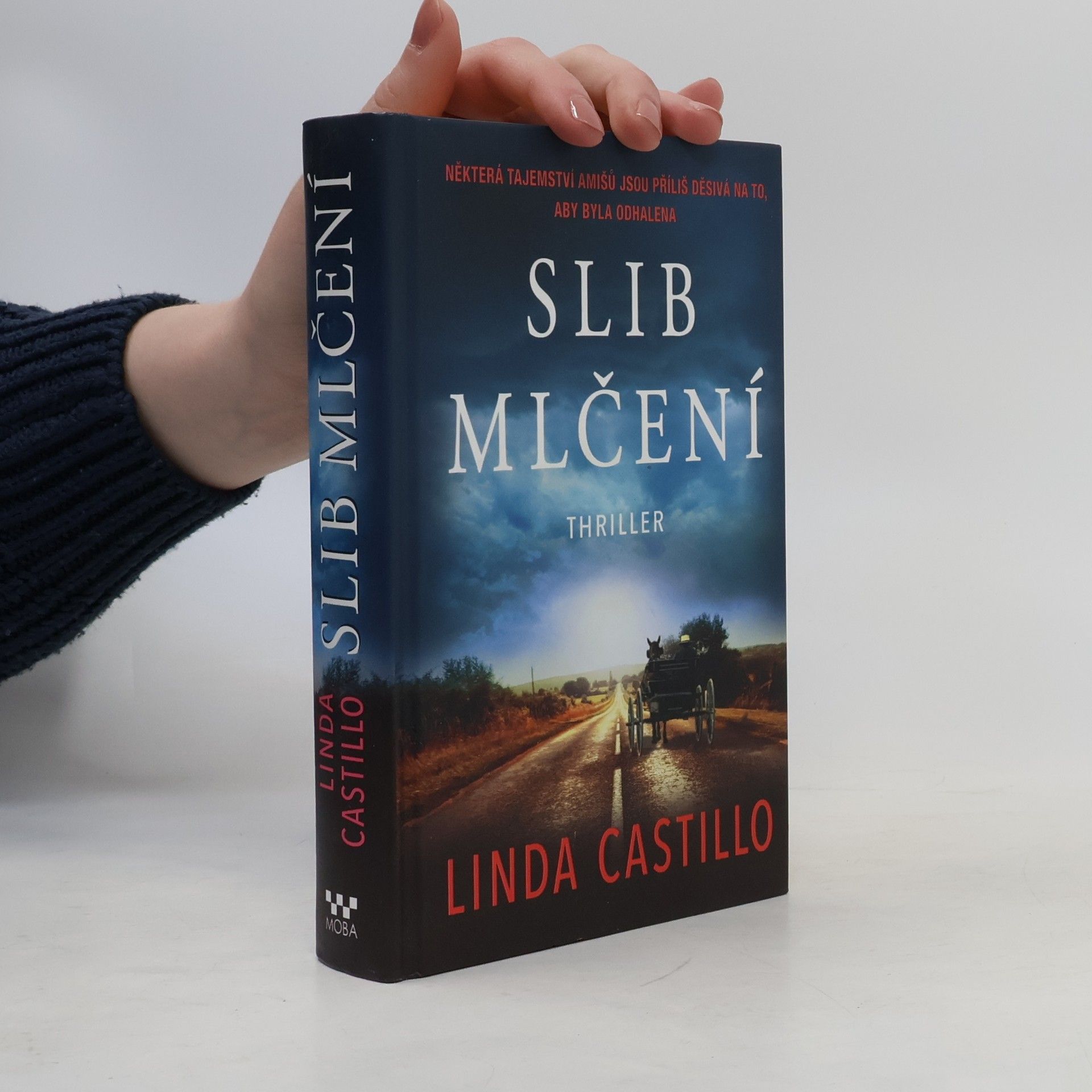 Linda Castillo Slib mlčení