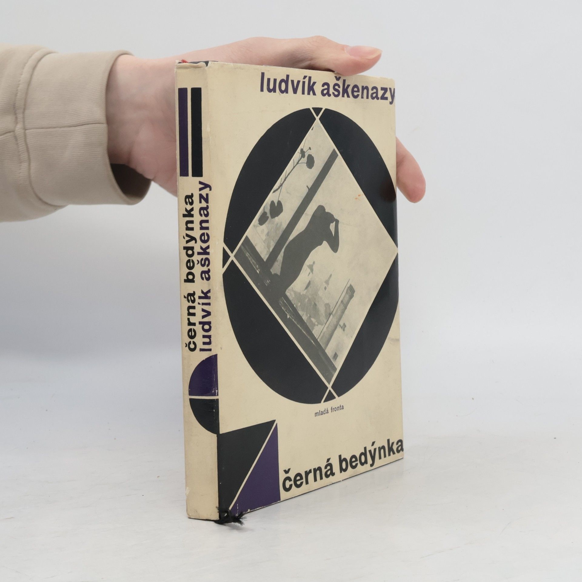 Ludvík Aškenazy Černá bedýnka