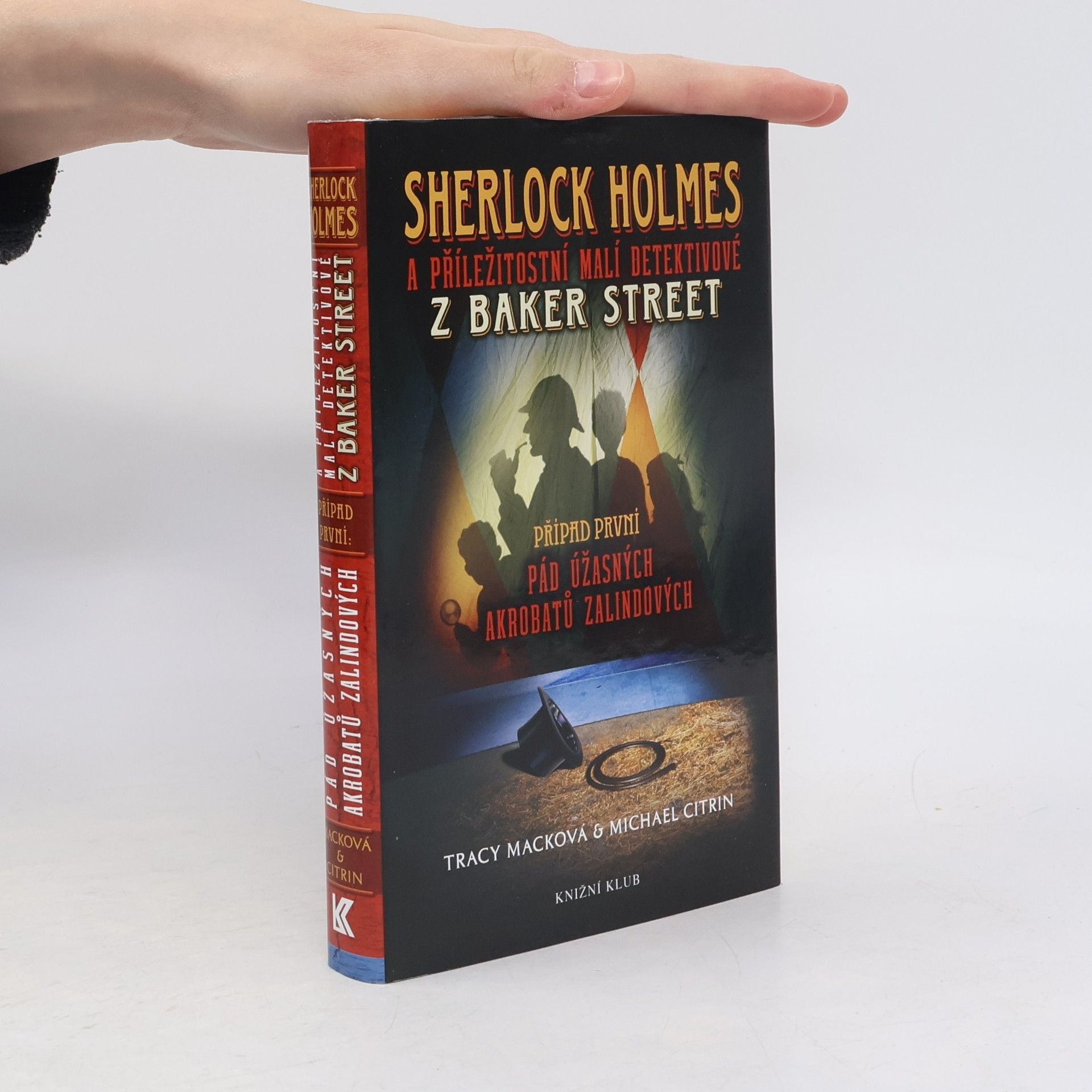 Michael Citrin Sherlock Holmes a příležitostní malí detektivové z Baker Street. Případ první. Pád úžasných akrobatů Zalindových