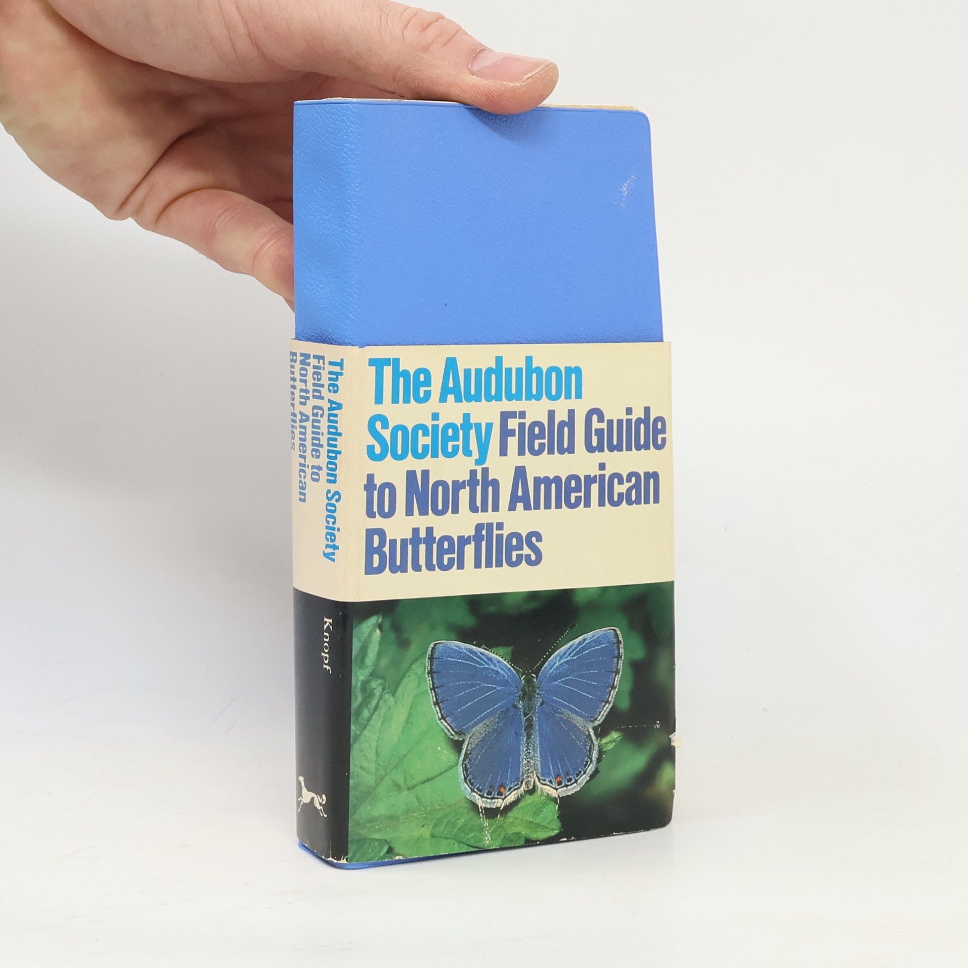 Robert Michael Pyle National Audubon Society Field Guide to North American Butterflies