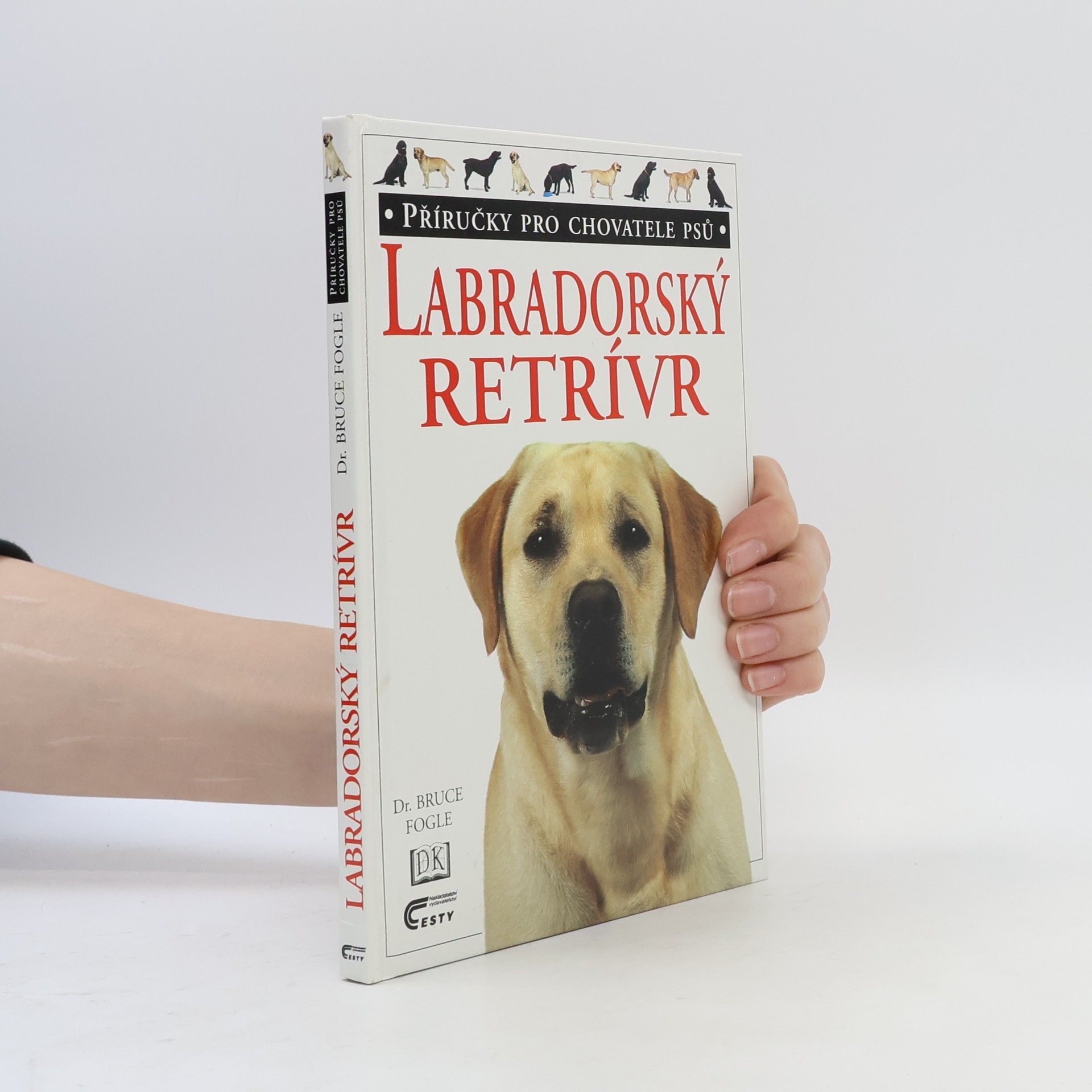 Labradorský retrívr