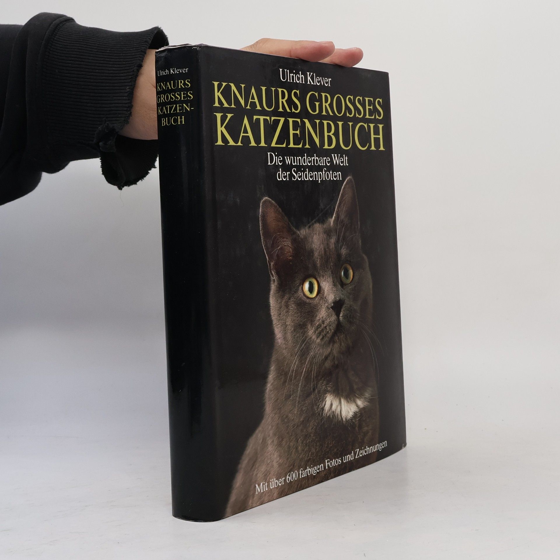 Ulrich Klever Knaurs Grosses Katzenbuch