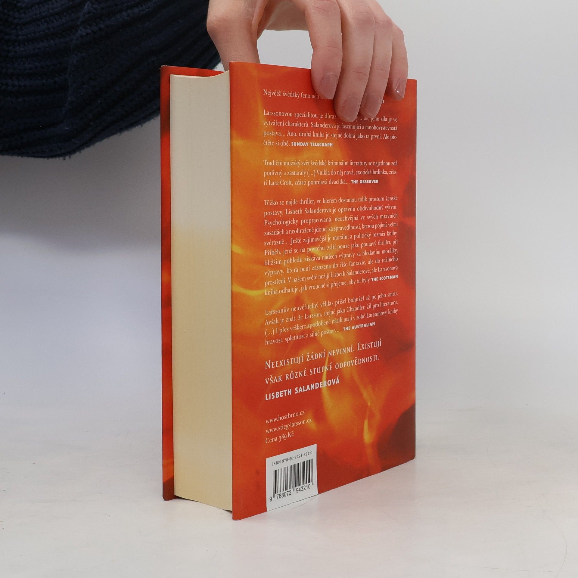 Stieg Larsson Dívka, která si hrála s ohněm