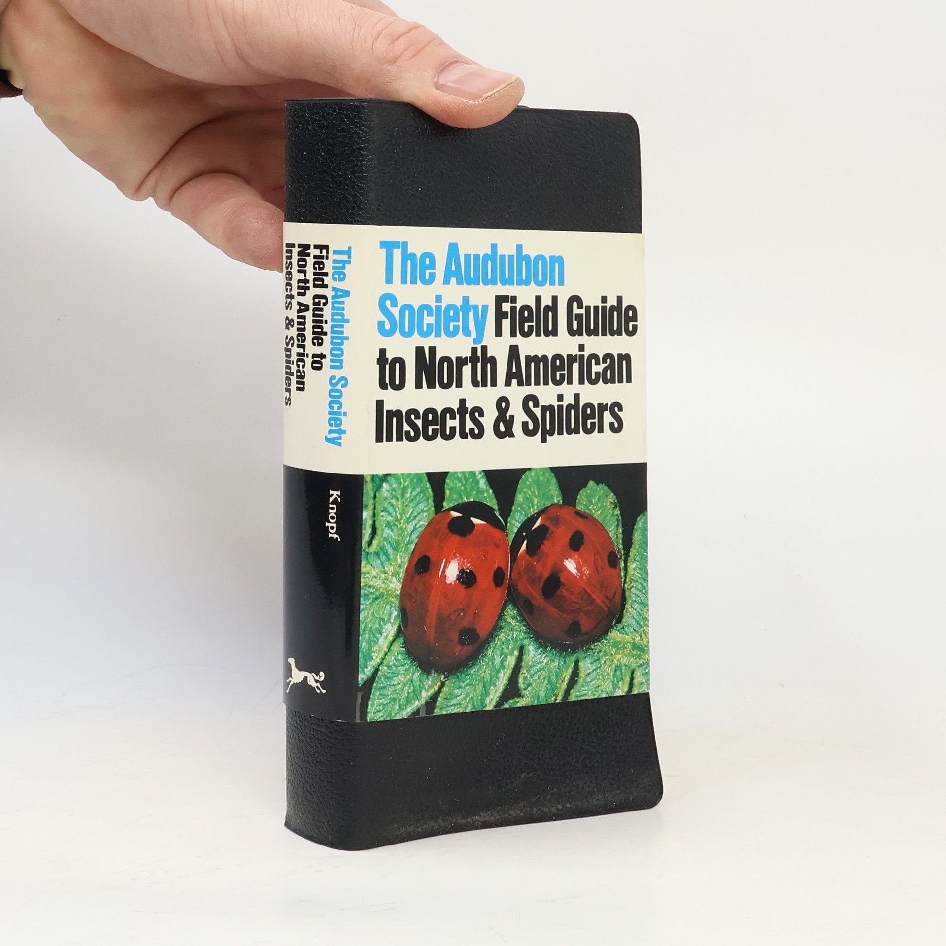 Collectif d'auteurs National Audubon Society. Field Guide to Insects and Spiders