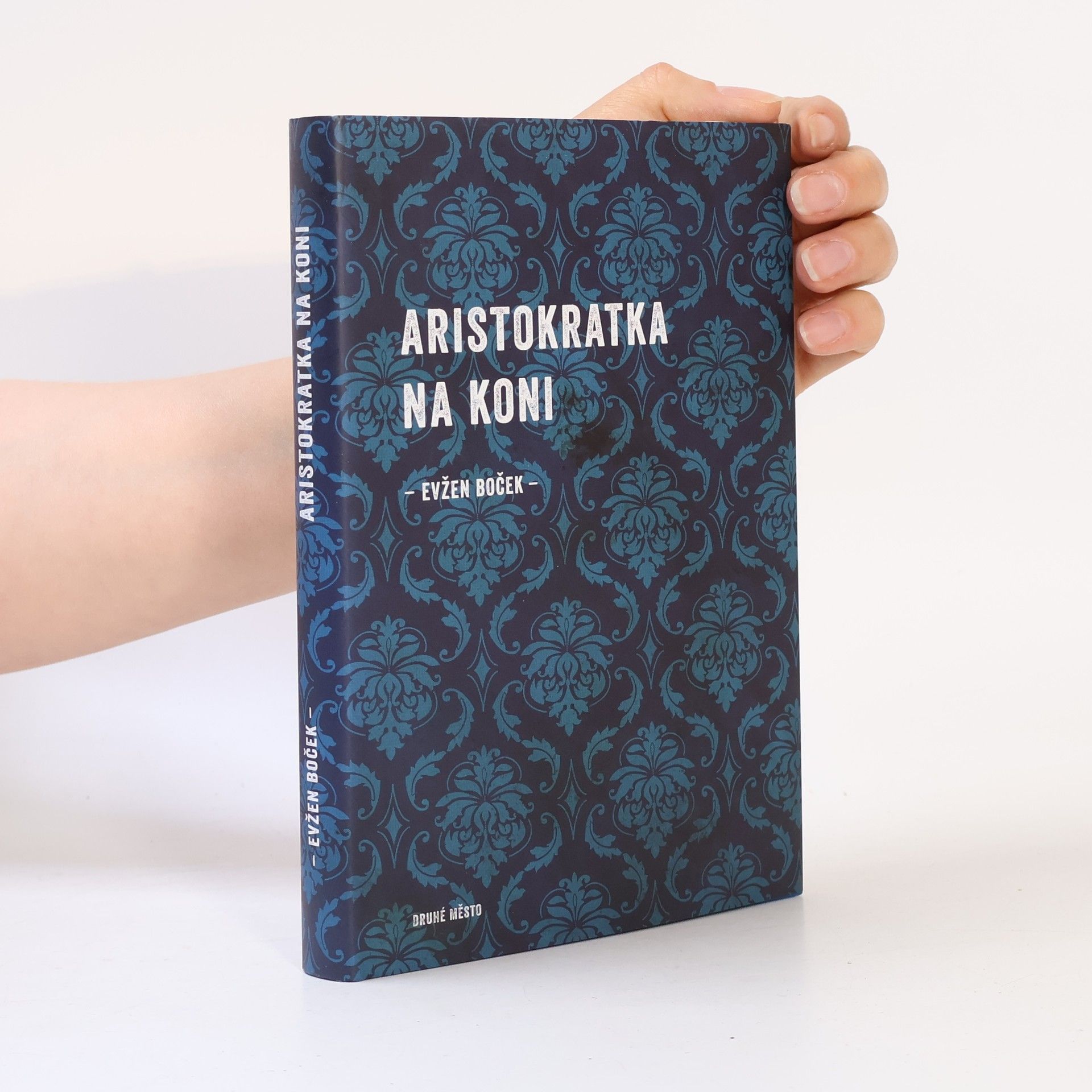 Evžen Boček Aristokratka na koni