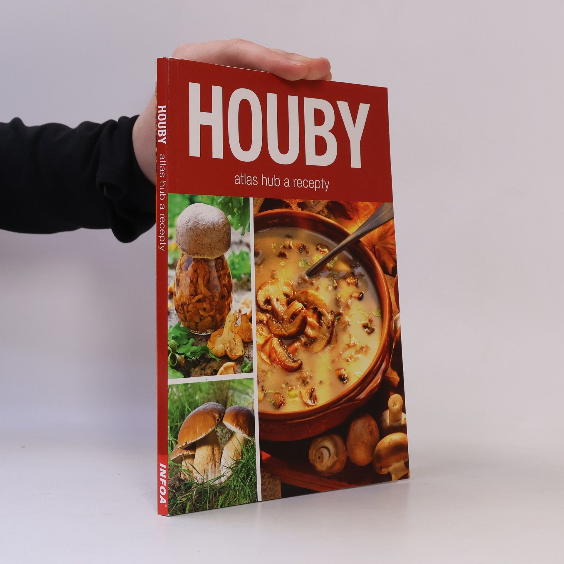 Kolektív autorov Houby - atlas hub a recepty