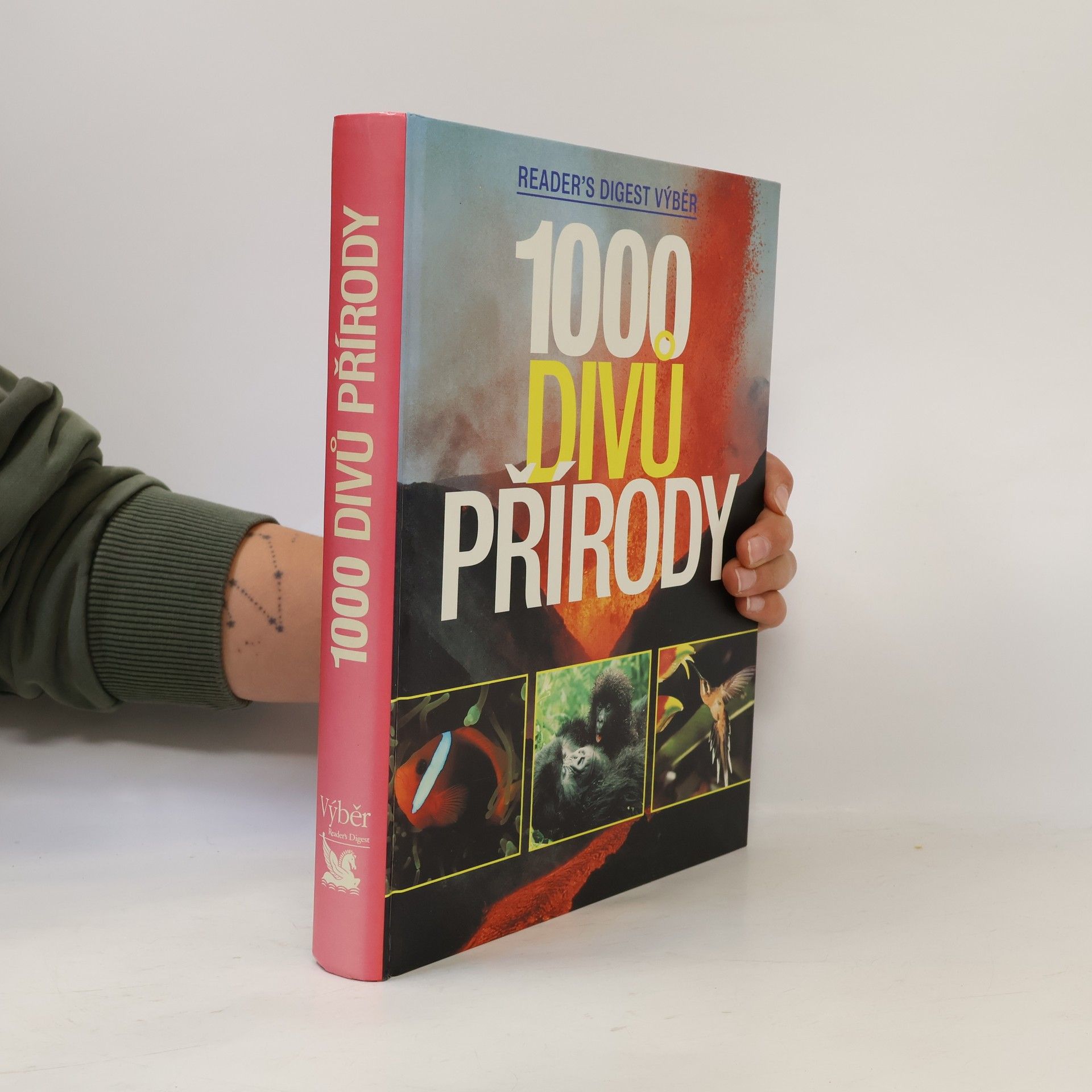Autorenkollektiv 1000 divů přírody