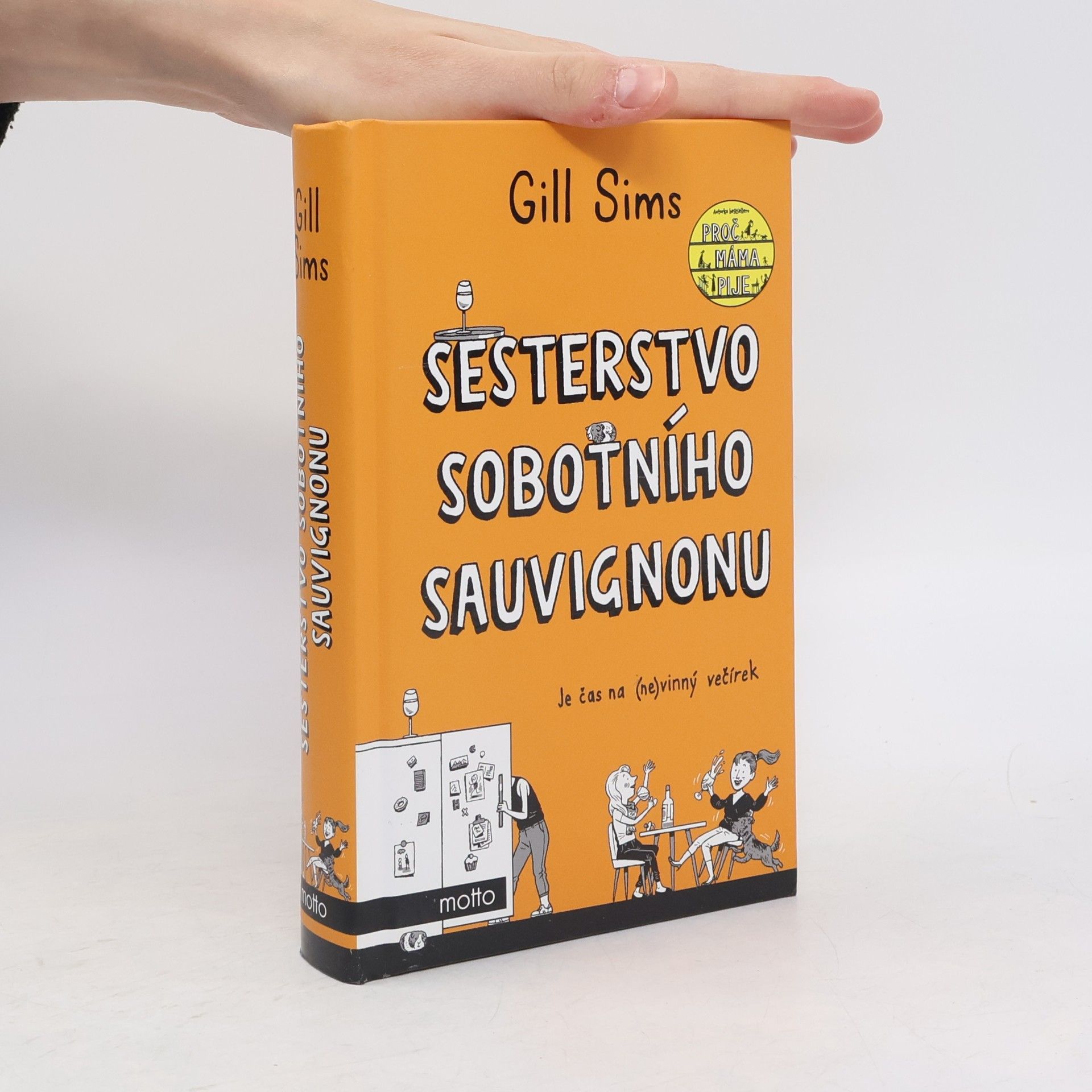 Gill Sims Sesterstvo sobotního sauvignonu