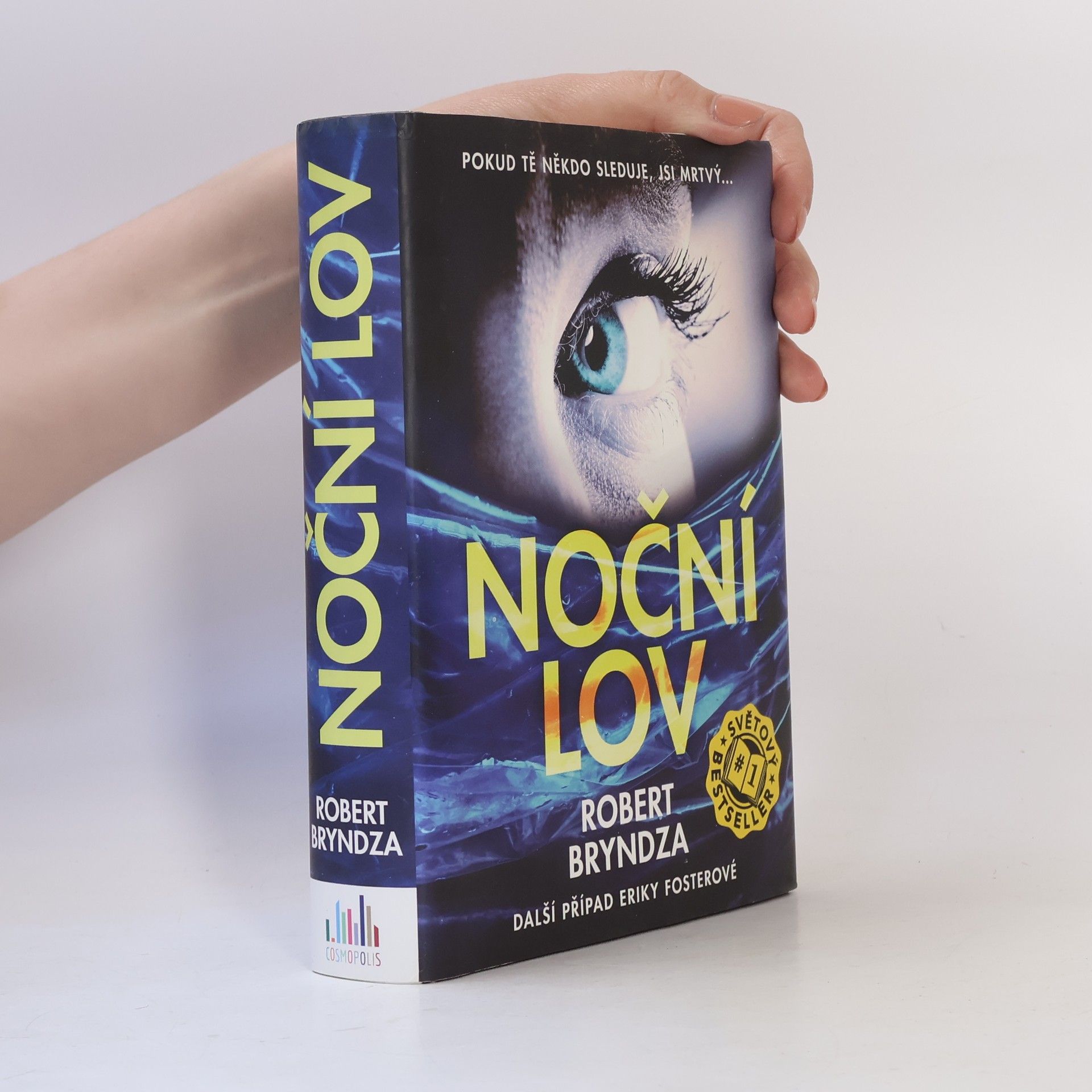 Robert Bryndza Noční lov