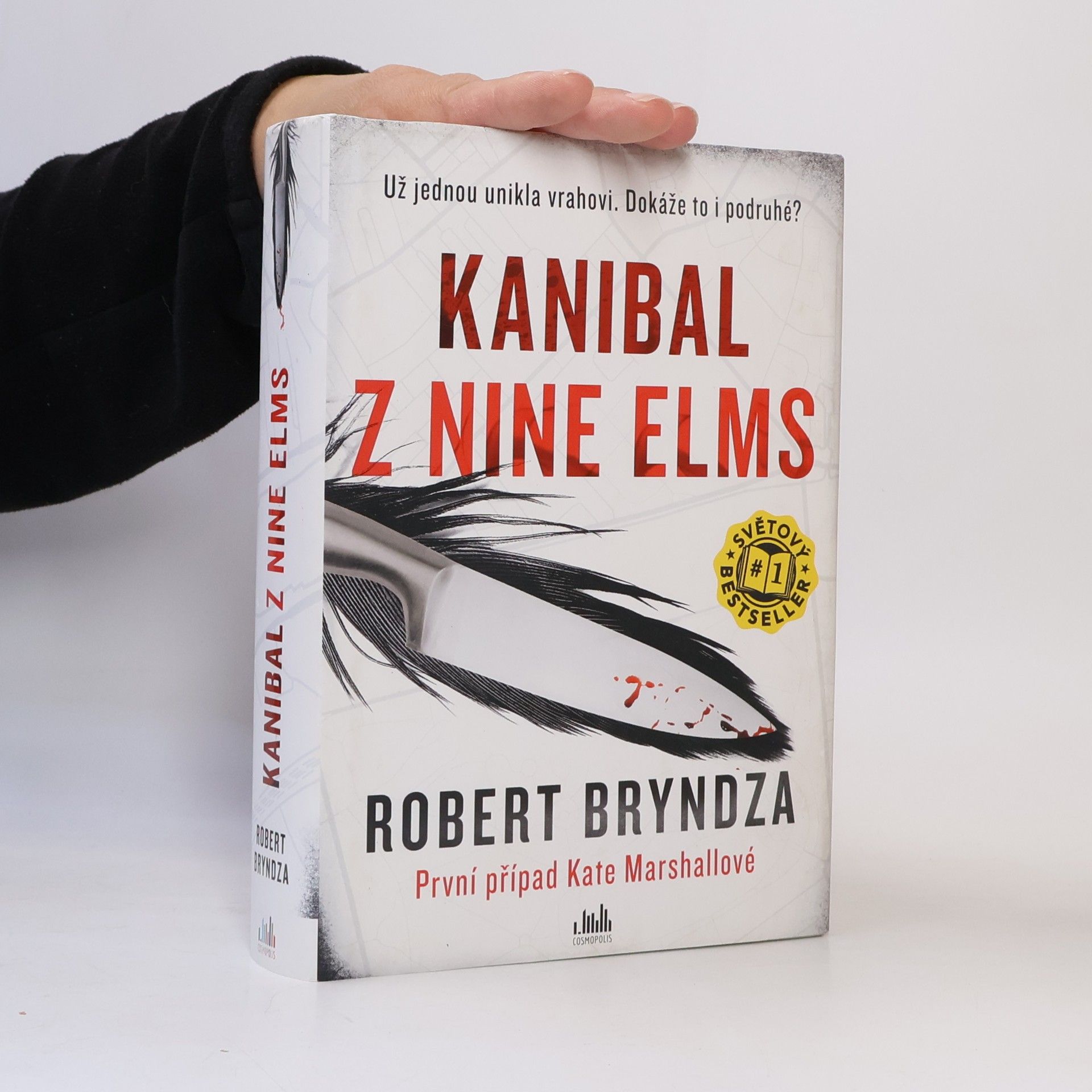Robert Bryndza Kanibal z Nine Elms