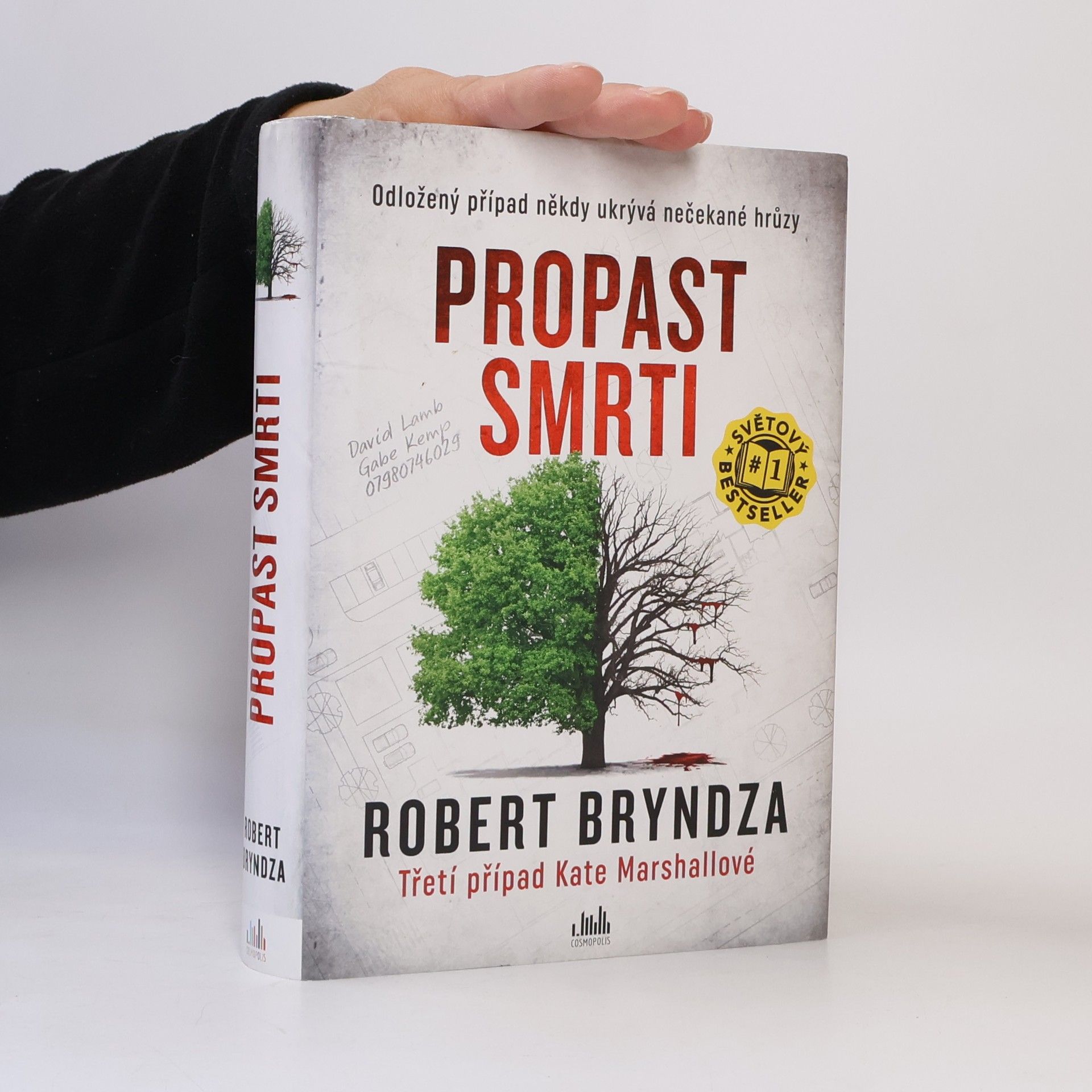 Robert Bryndza Propast smrti