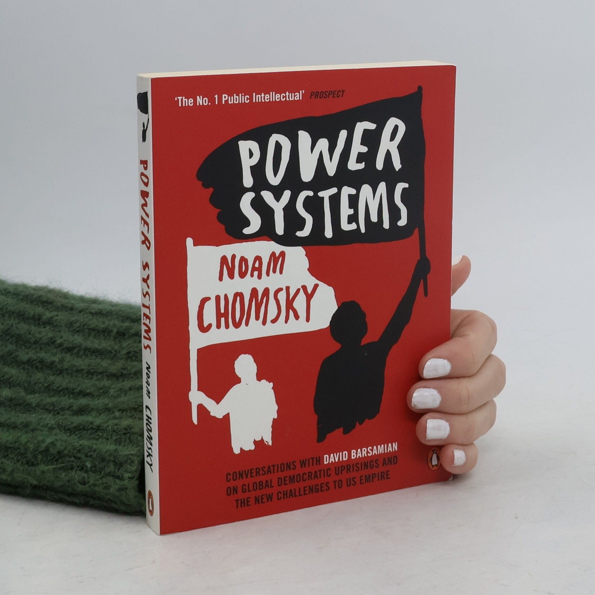 Noam Chomsky Power Systems