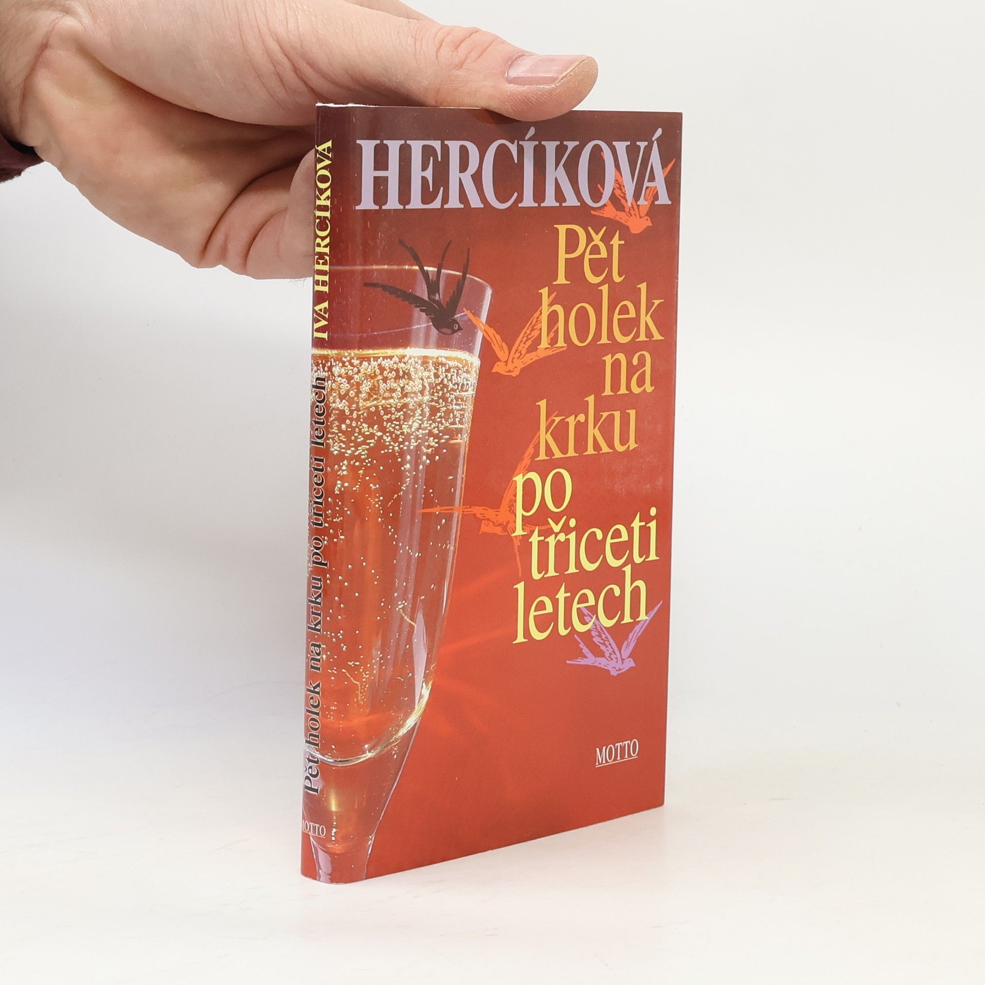 Iva Hercíková Pět holek na krku po třiceti letech