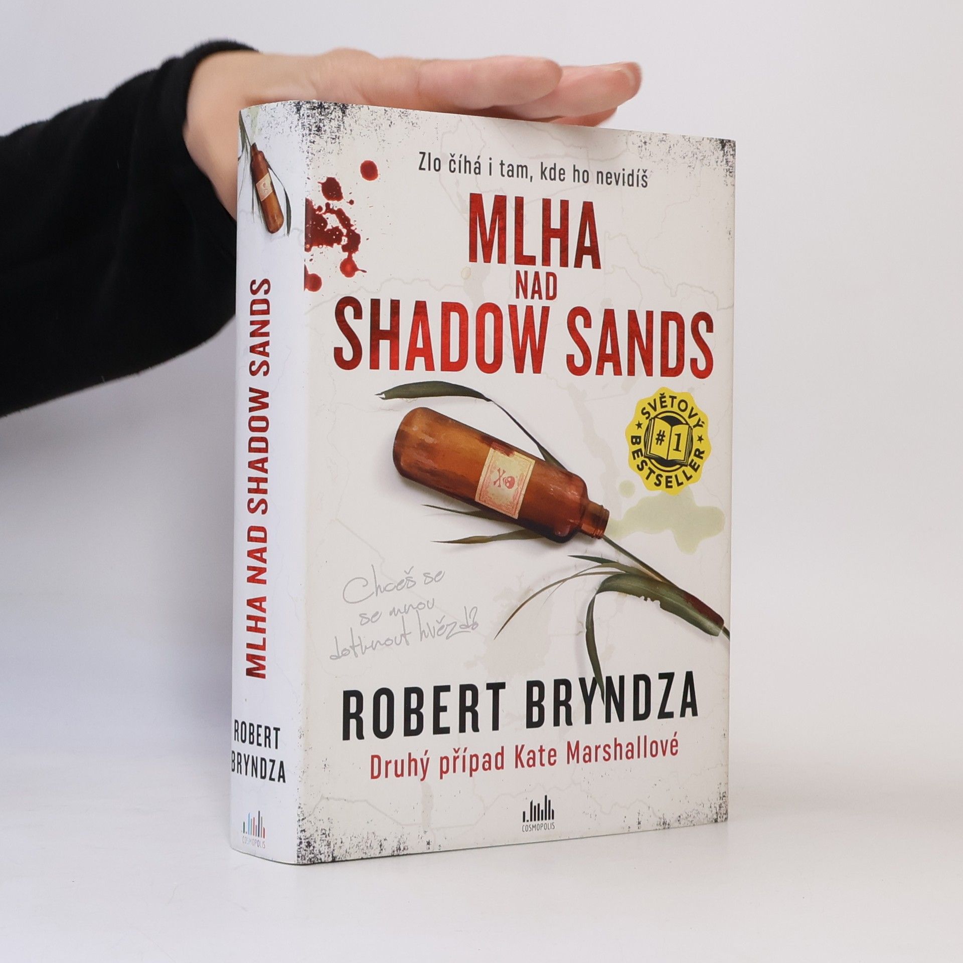 Robert Bryndza Mlha nad Shadow Sands