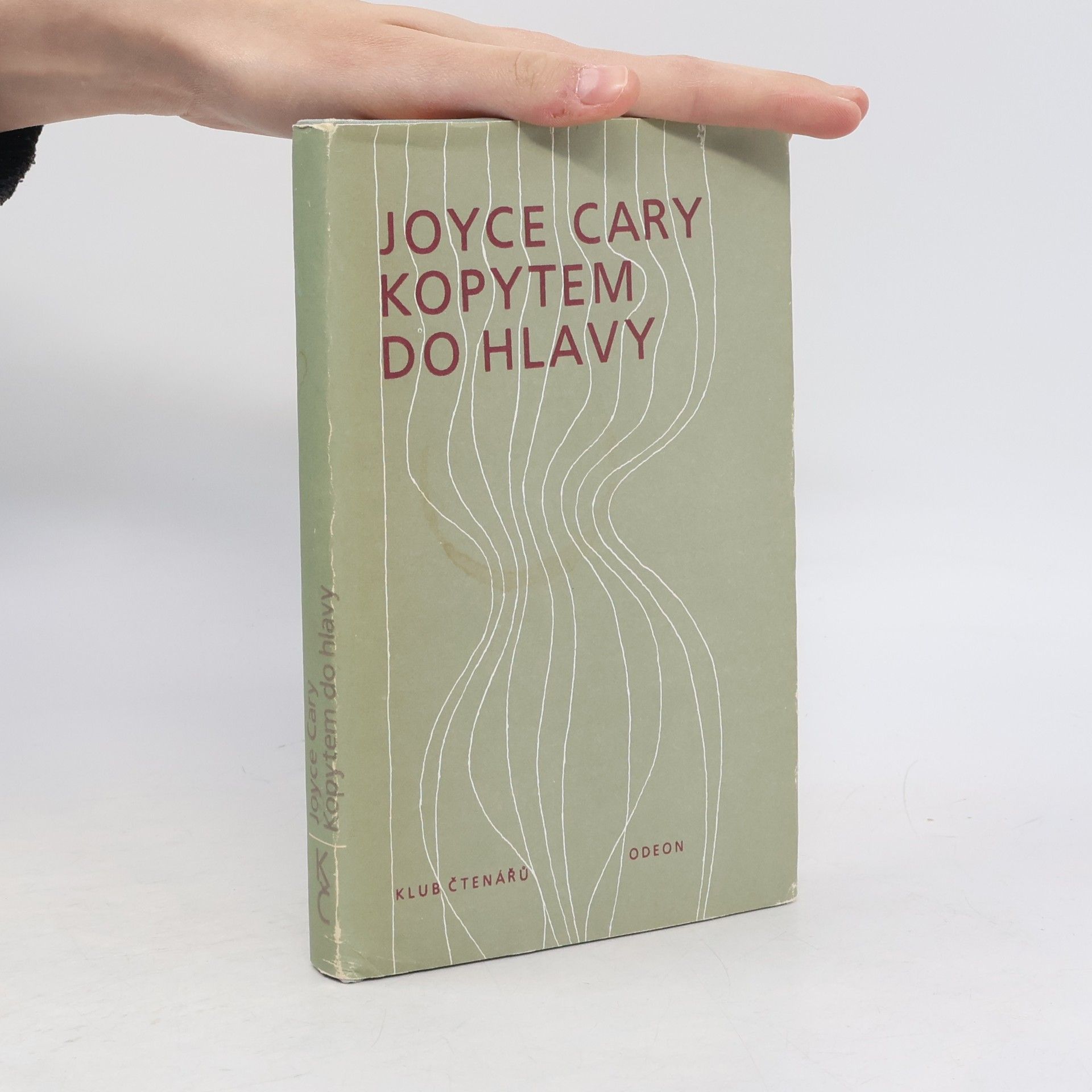 Joyce Cary Kopytem do hlavy