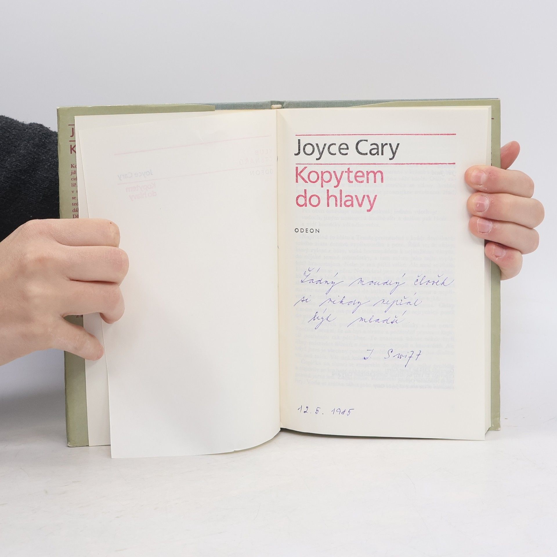 Joyce Cary Kopytem do hlavy
