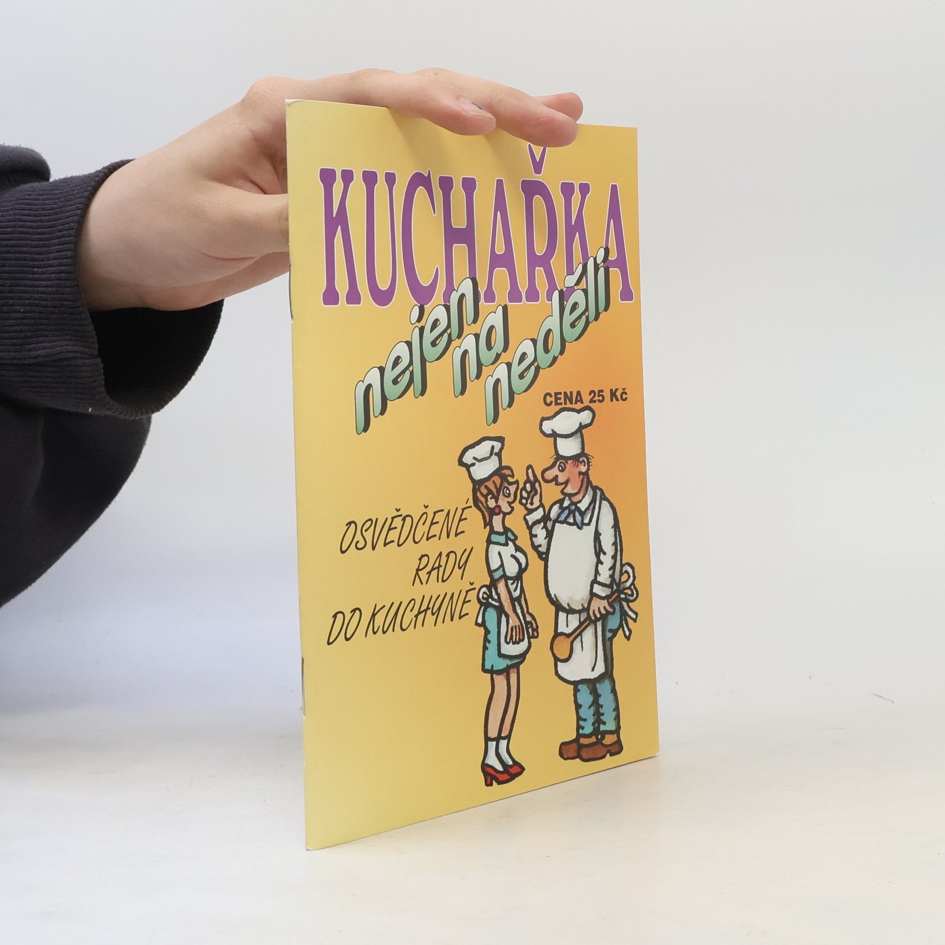 Jaroslav Vašák Kuchařka nejen na neděli. Osvědčené rady do kuchyně