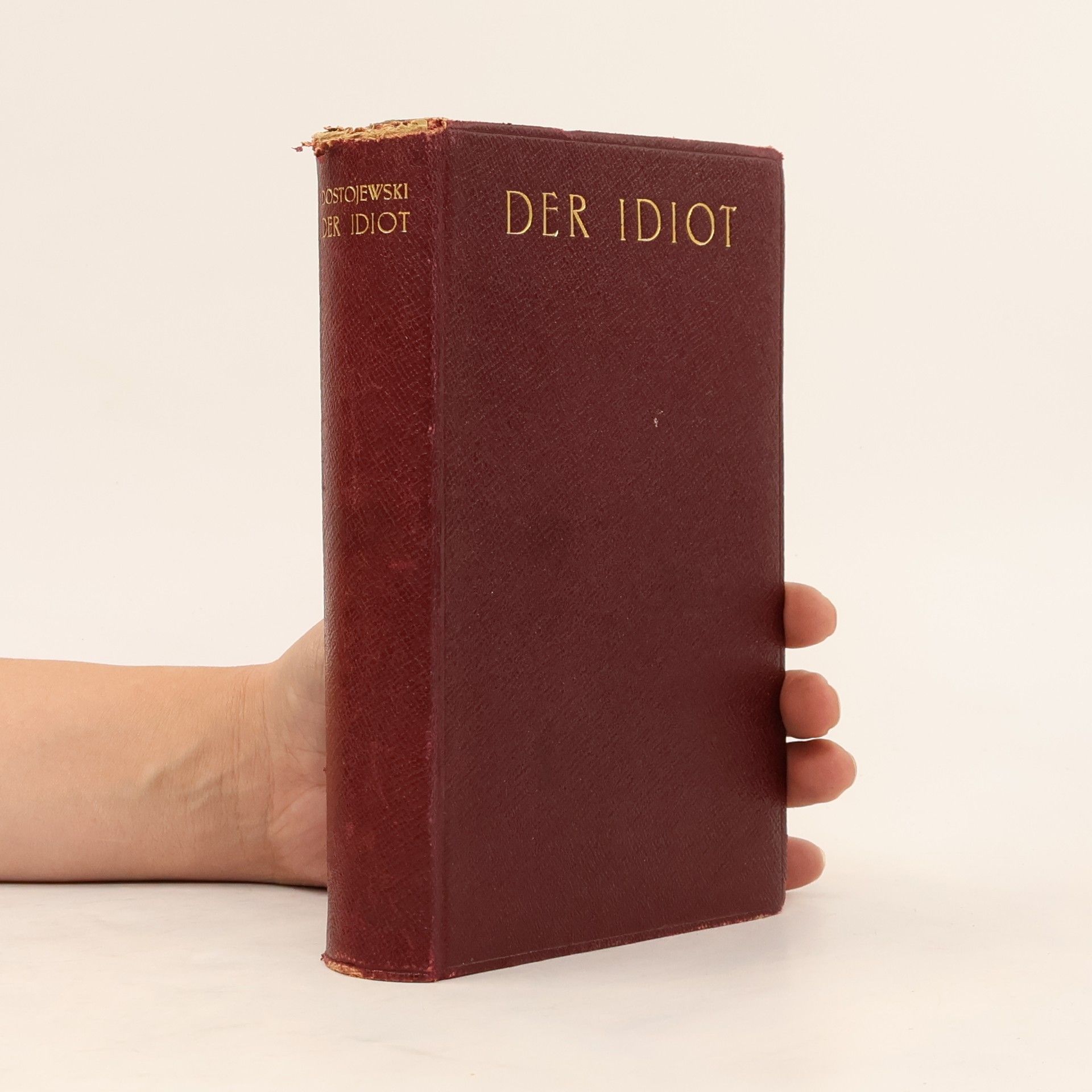 Fjodor Michajlovič Dostojevskij Der Idiot