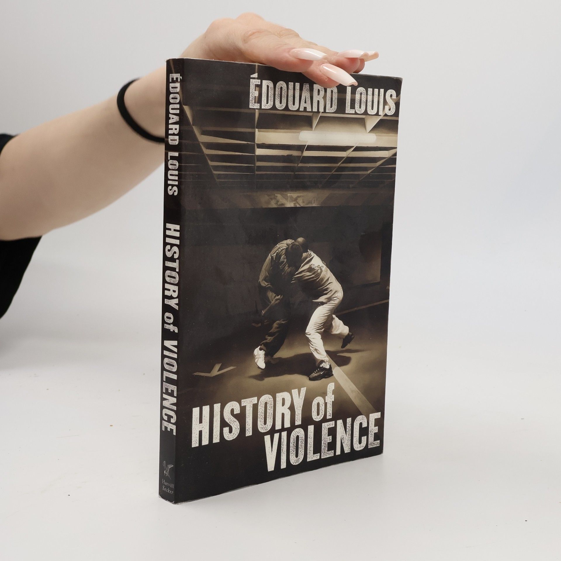 Édouard Louis History of Violence