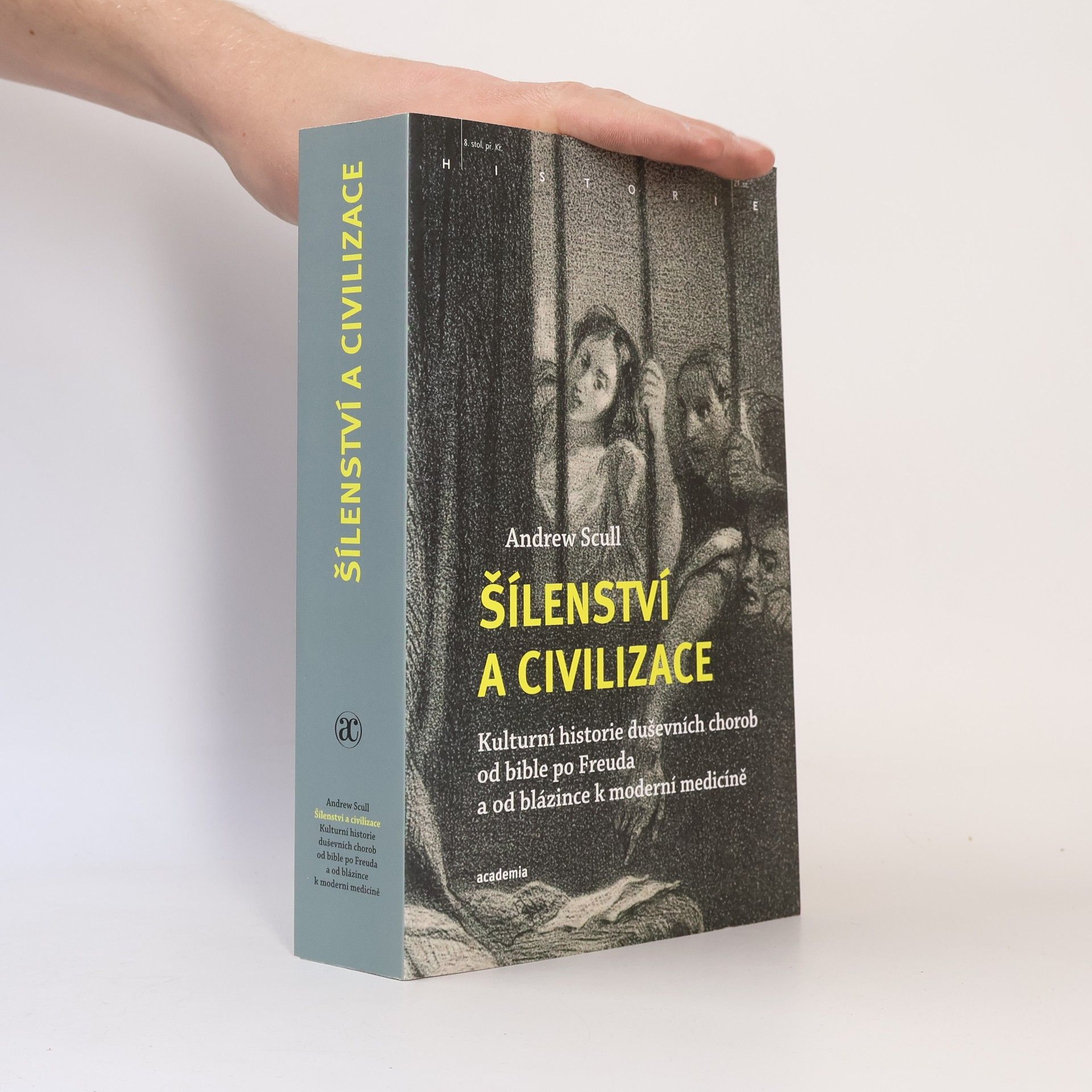 Andrew T. Scull Šílenství a civilizace