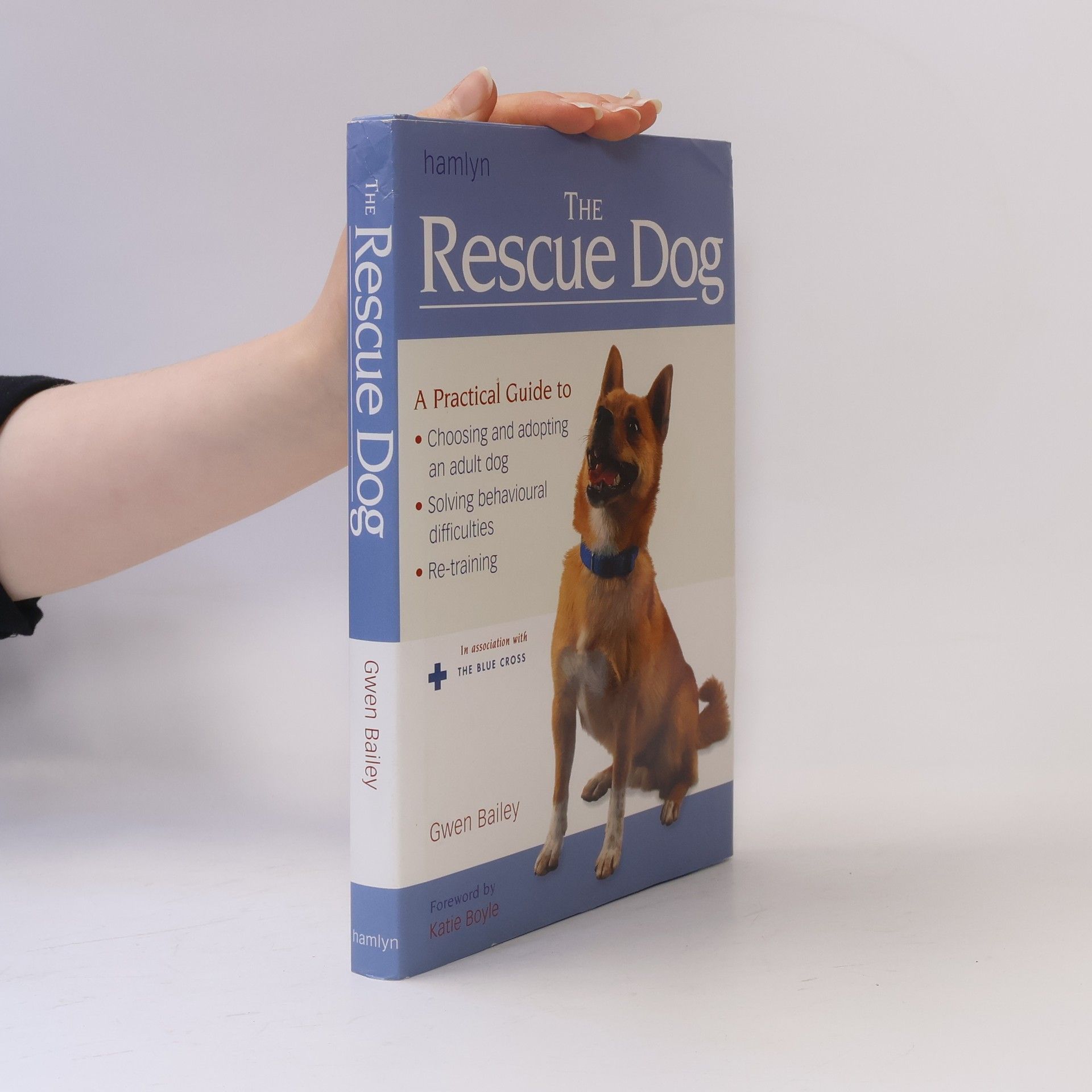Katie Boyle The Rescue Dog