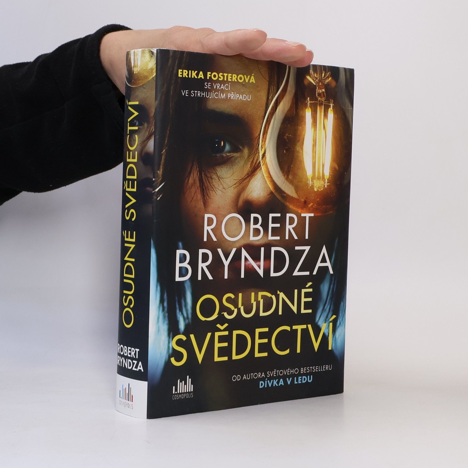 Robert Bryndza Osudné svědectví