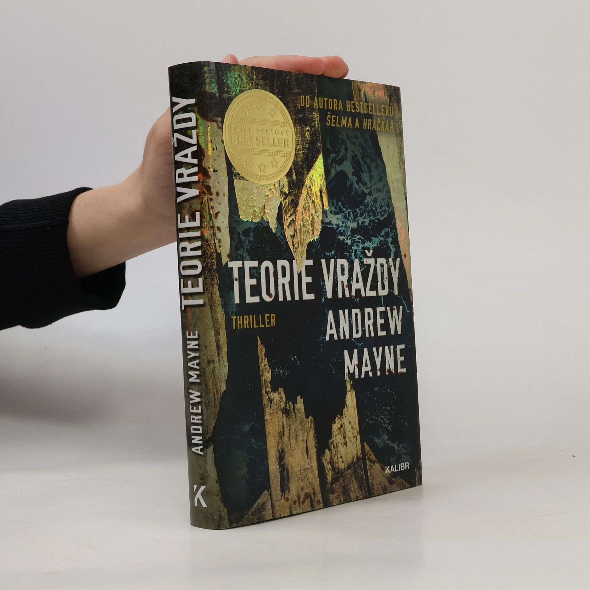 Andrew Mayne Teorie vraždy