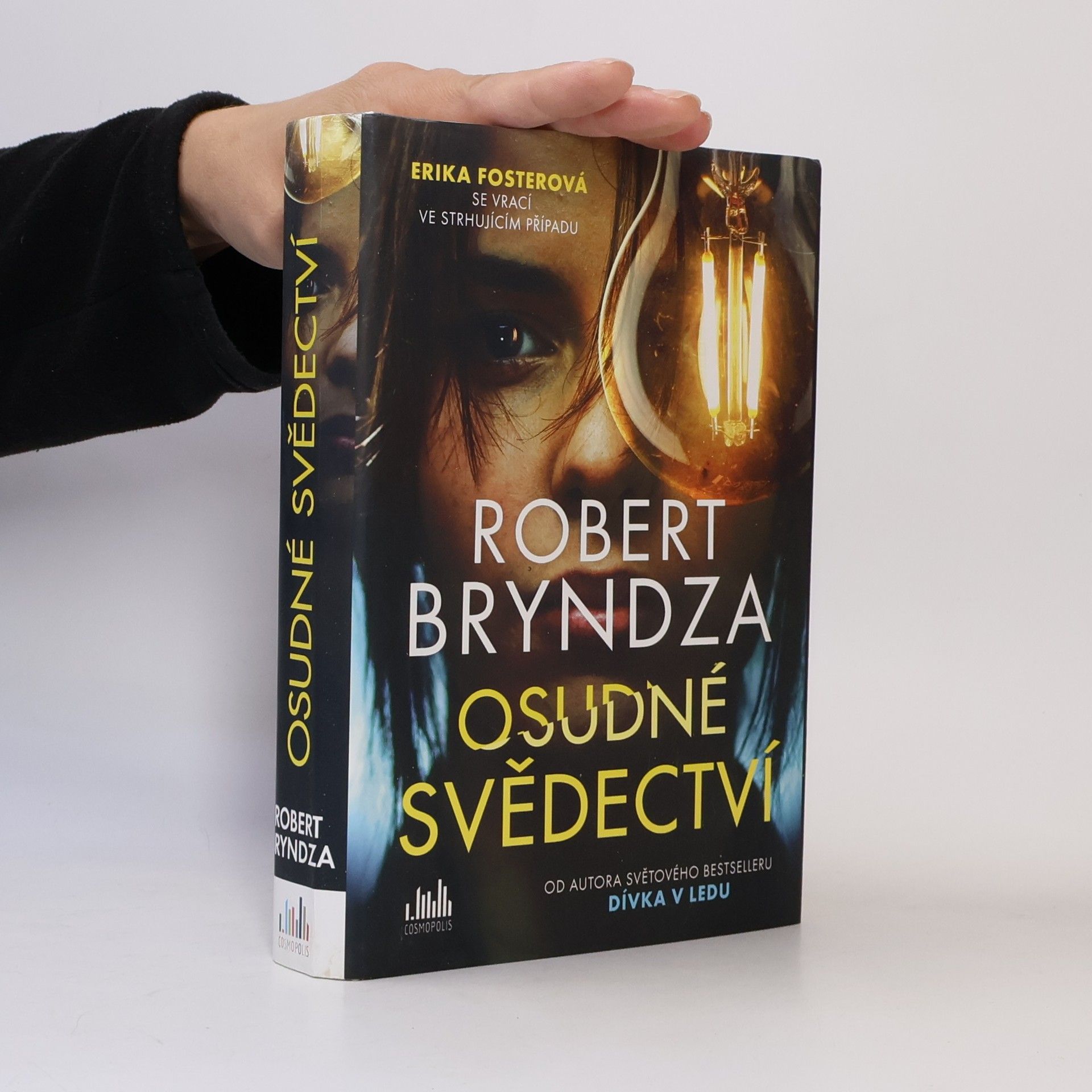 Robert Bryndza Osudné svědectví