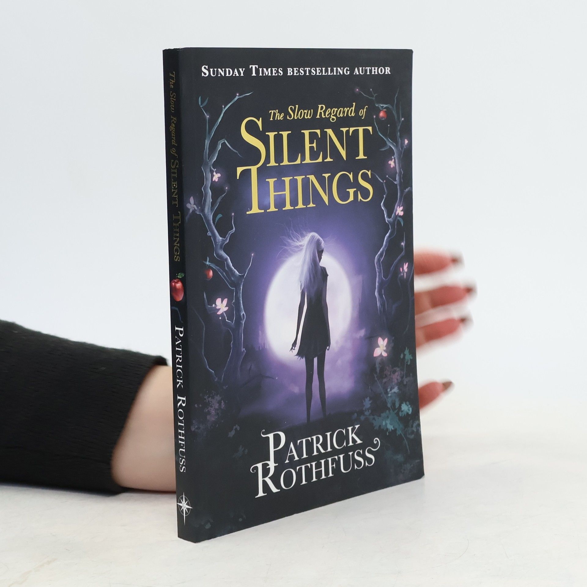 Patrick Rothfuss The Slow Regard of Silent Things